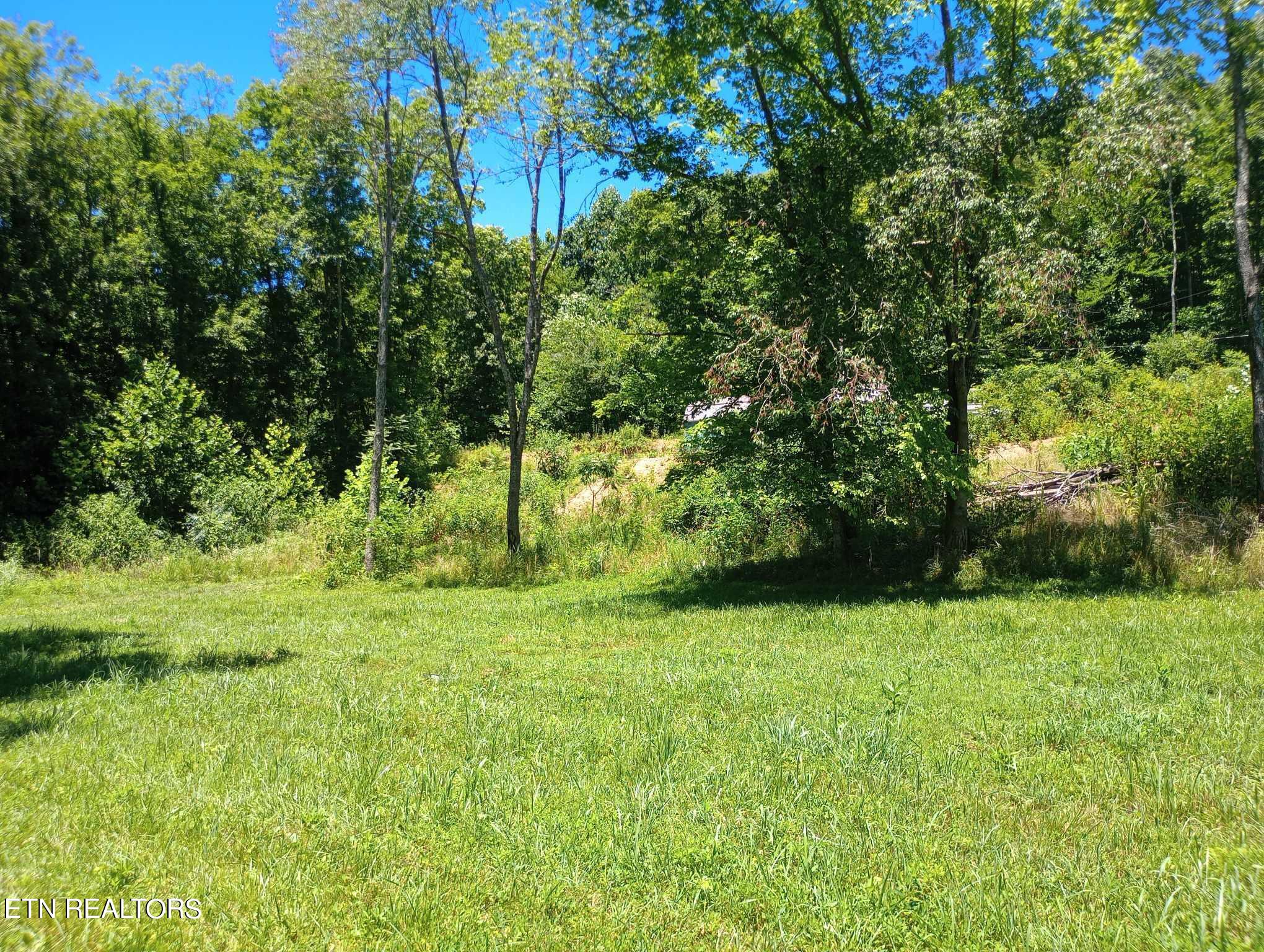 1037 Little Valley Rd