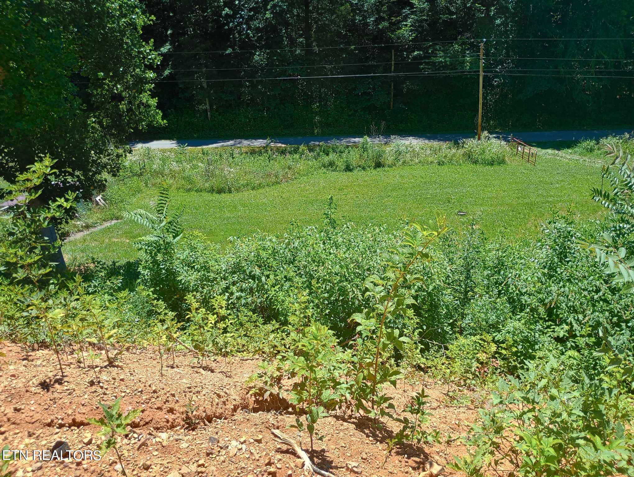 1037 Little Valley Rd