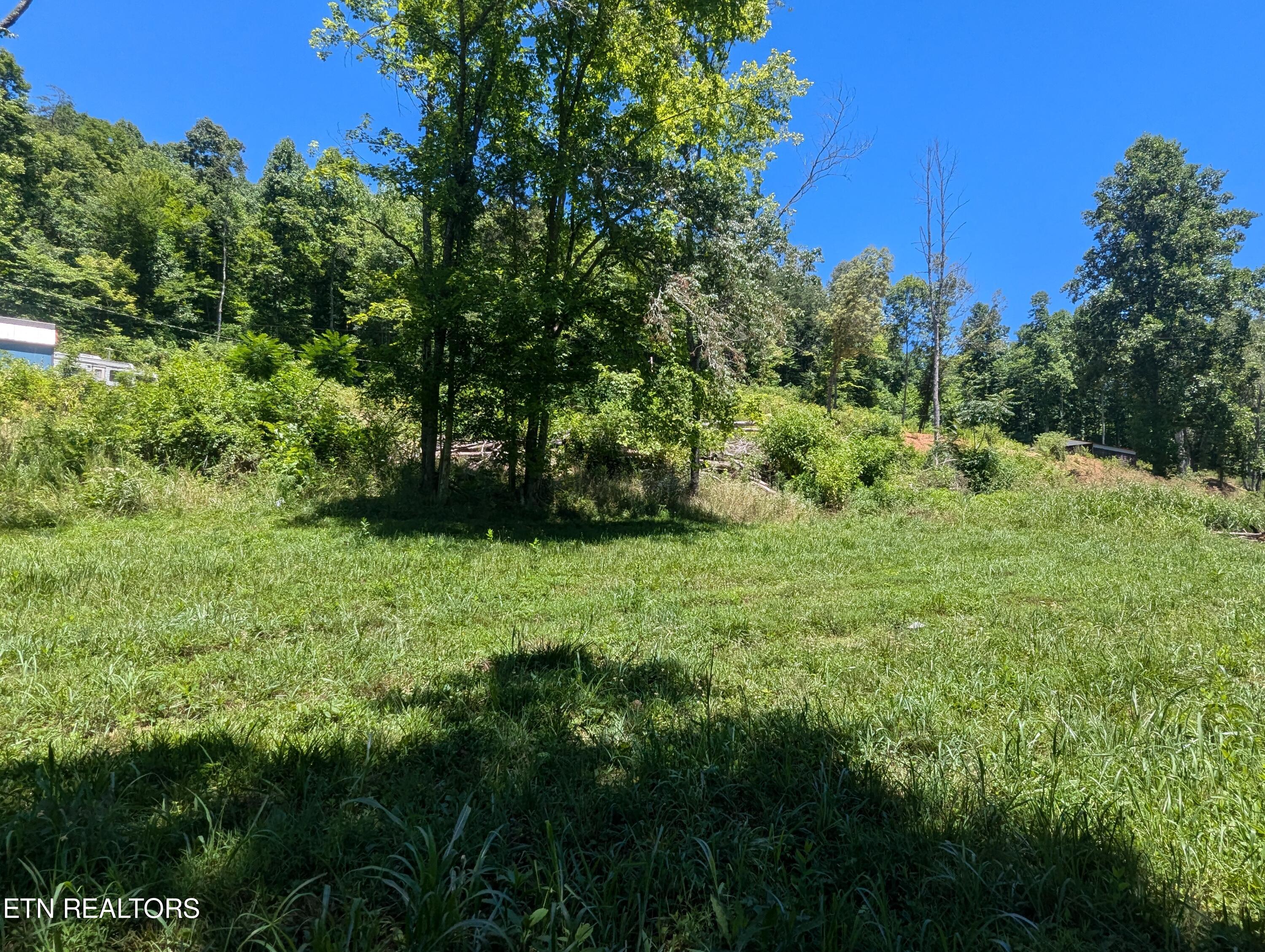 1037 Little Valley Rd