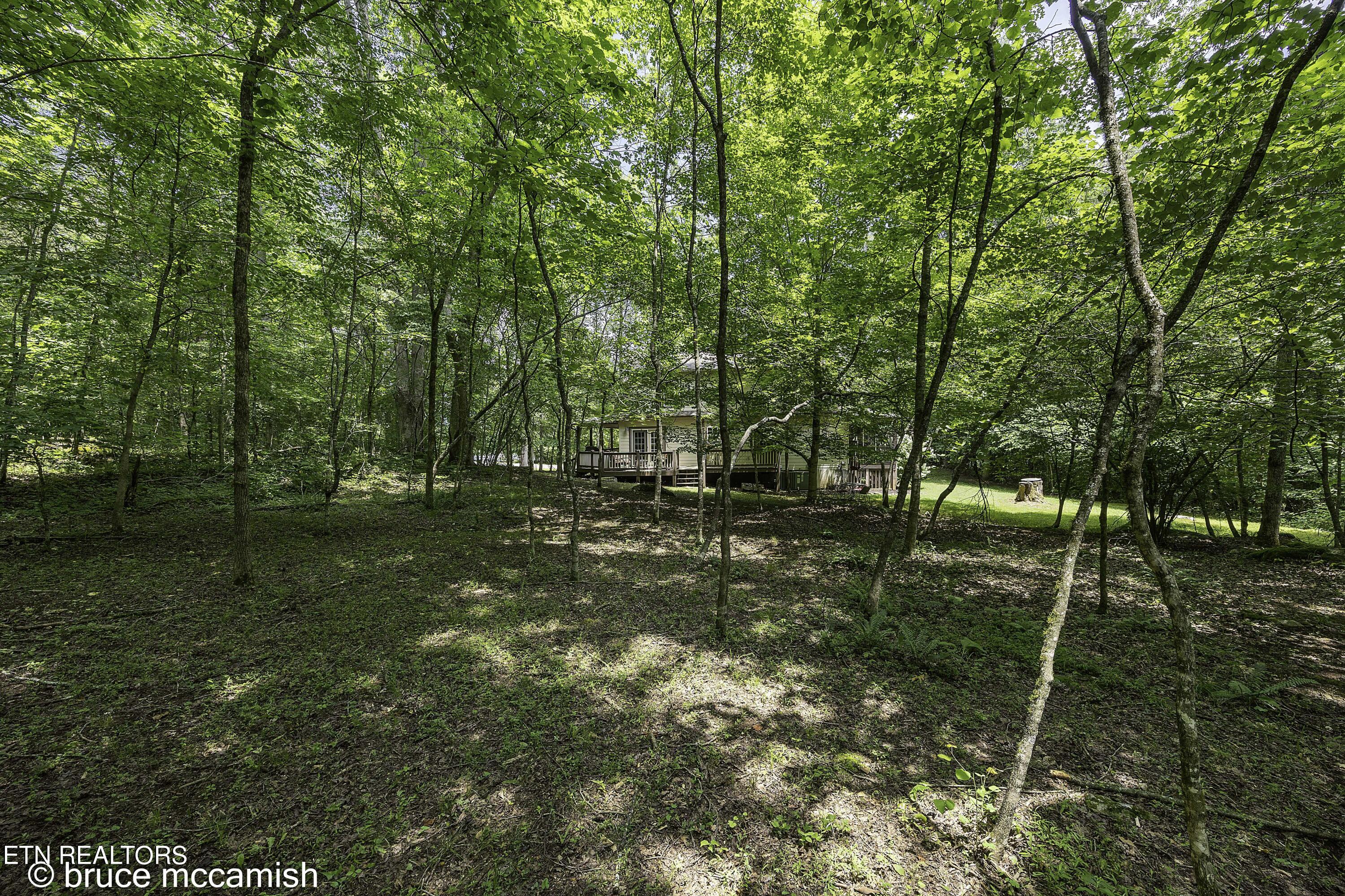 536 E Norris Point Rd, LaFollette