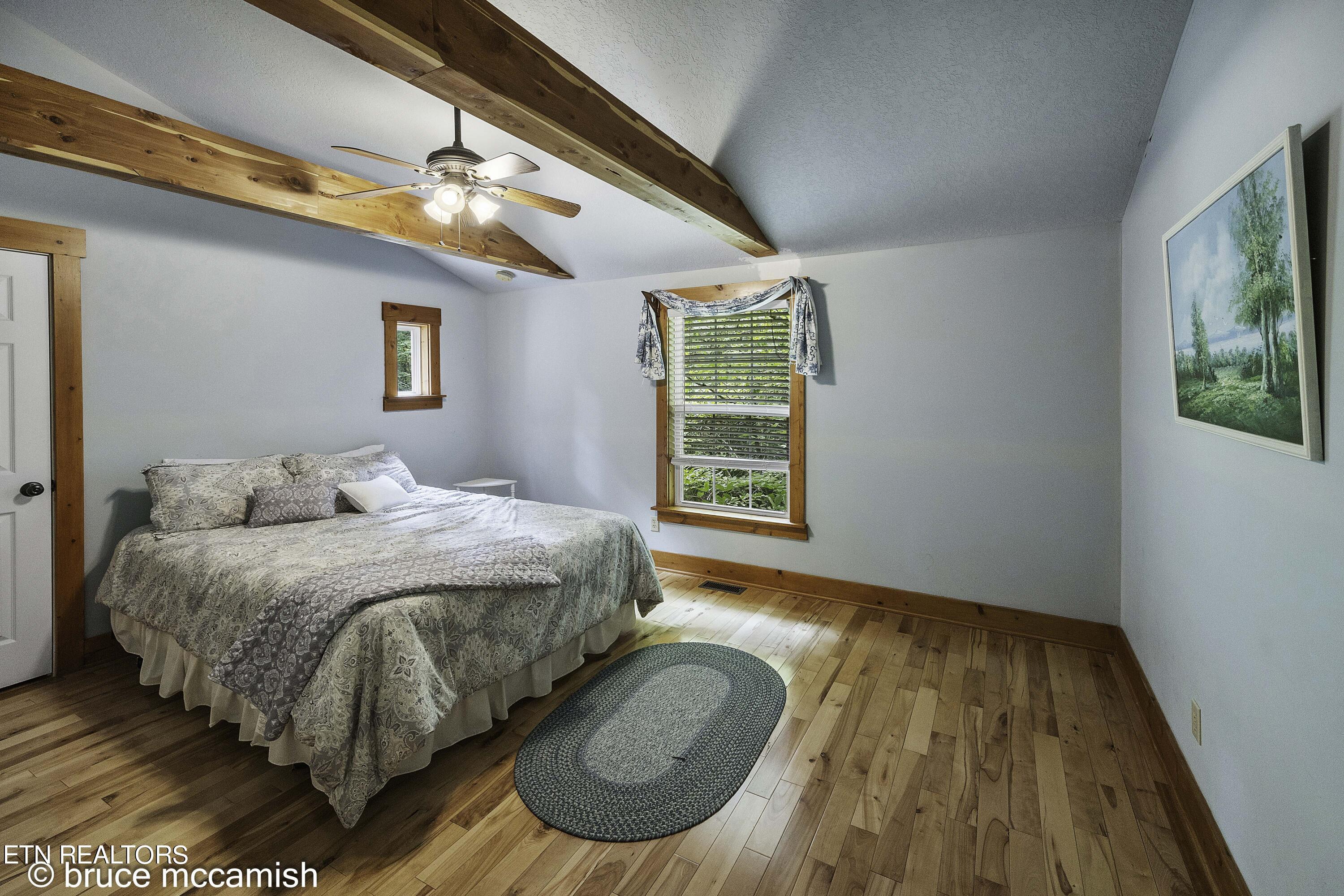 536 E Norris Point Rd, LaFollette