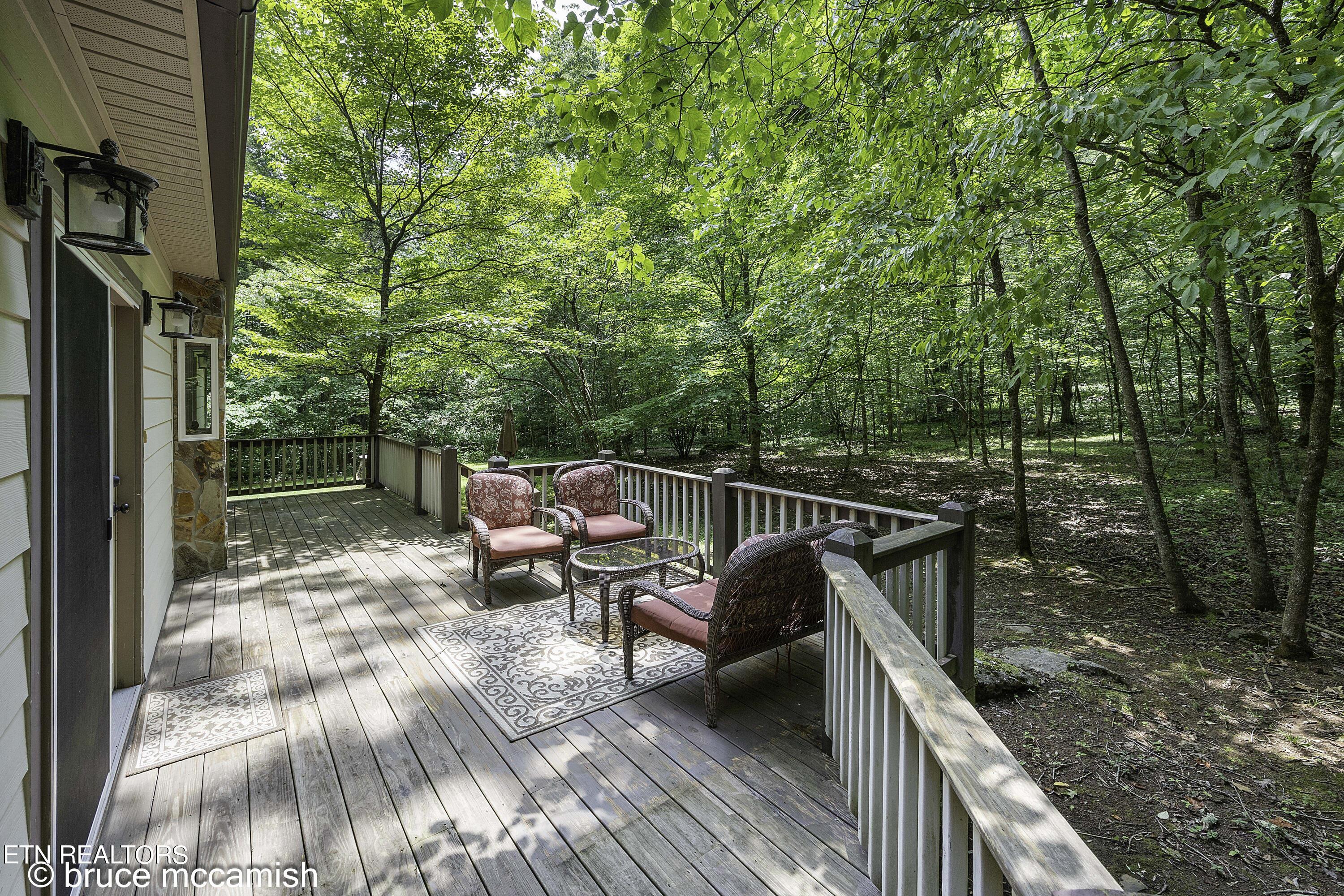 536 E Norris Point Rd, LaFollette