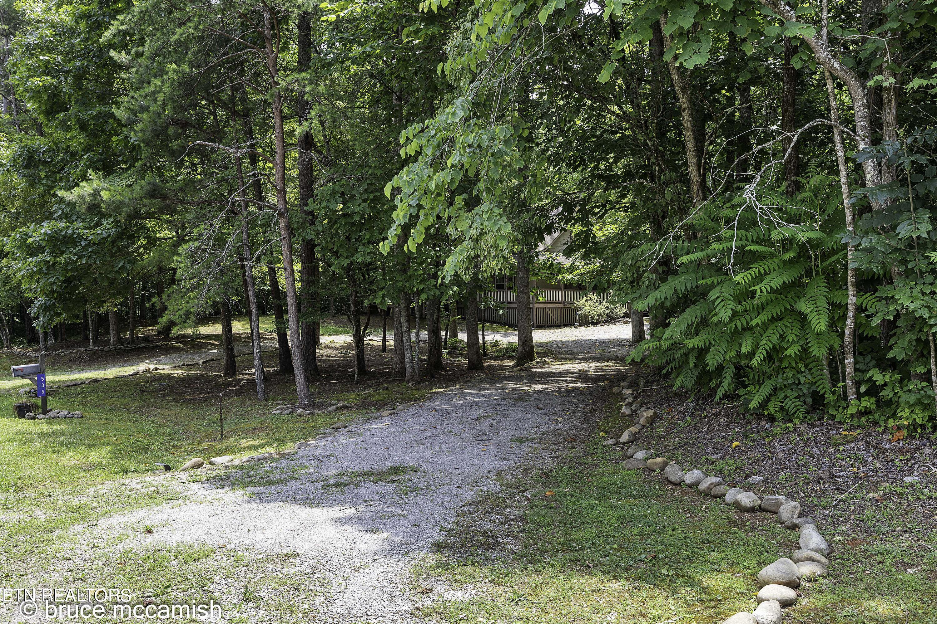 536 E Norris Point Rd, LaFollette