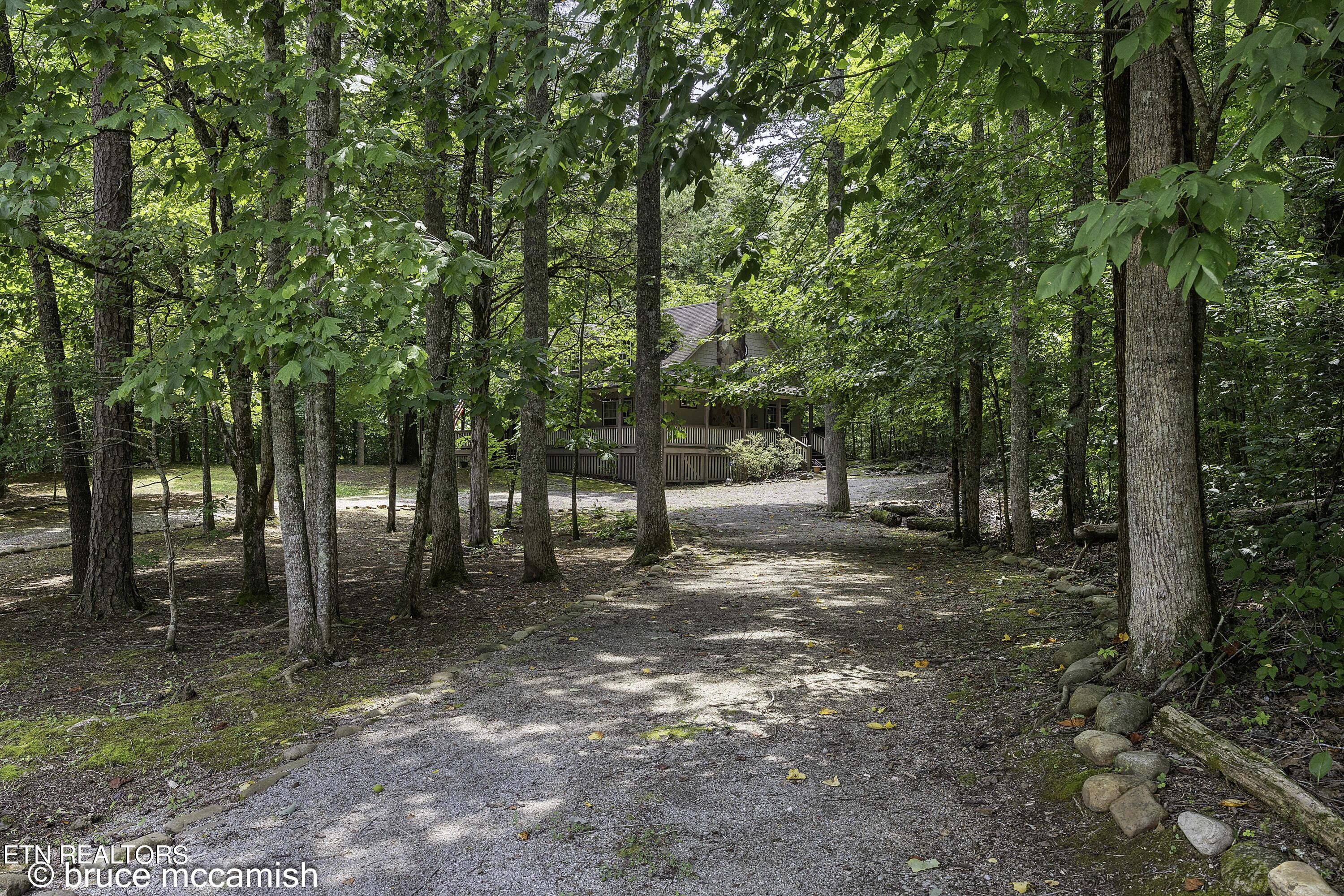 536 E Norris Point Rd, LaFollette