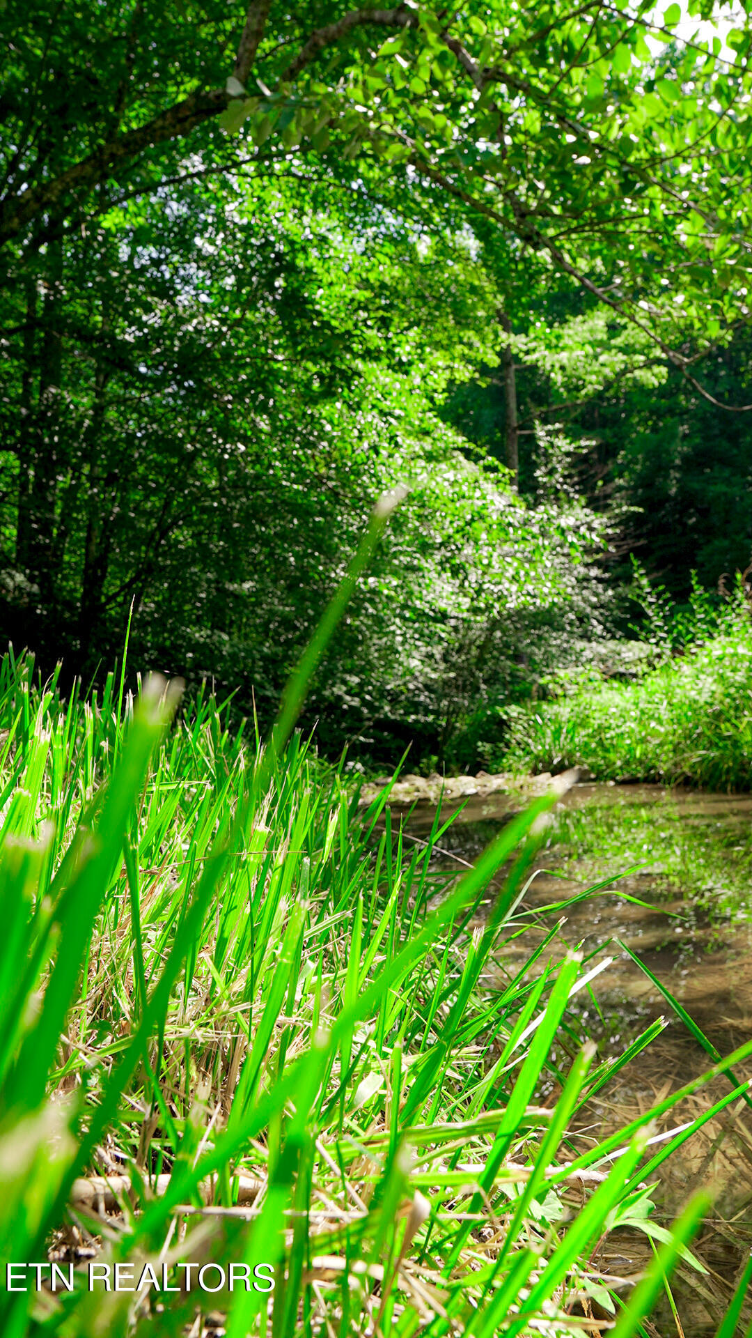 9315 Andersonville Pike