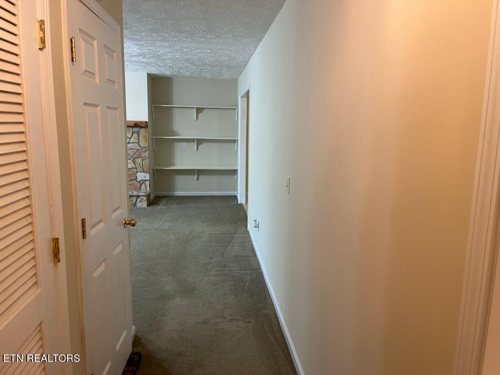 348 Big Springs Lane