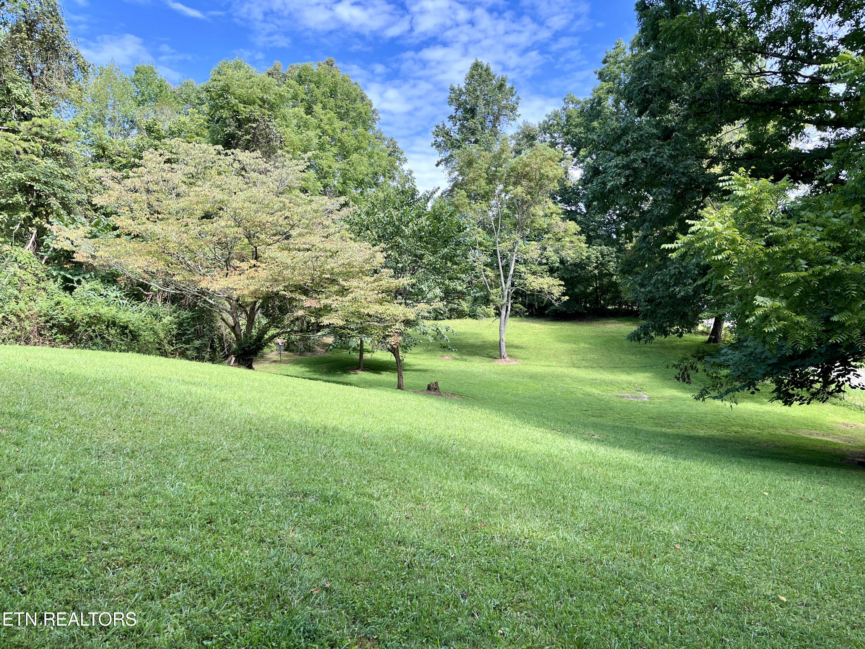 313 Mckinney Rd, LaFollette