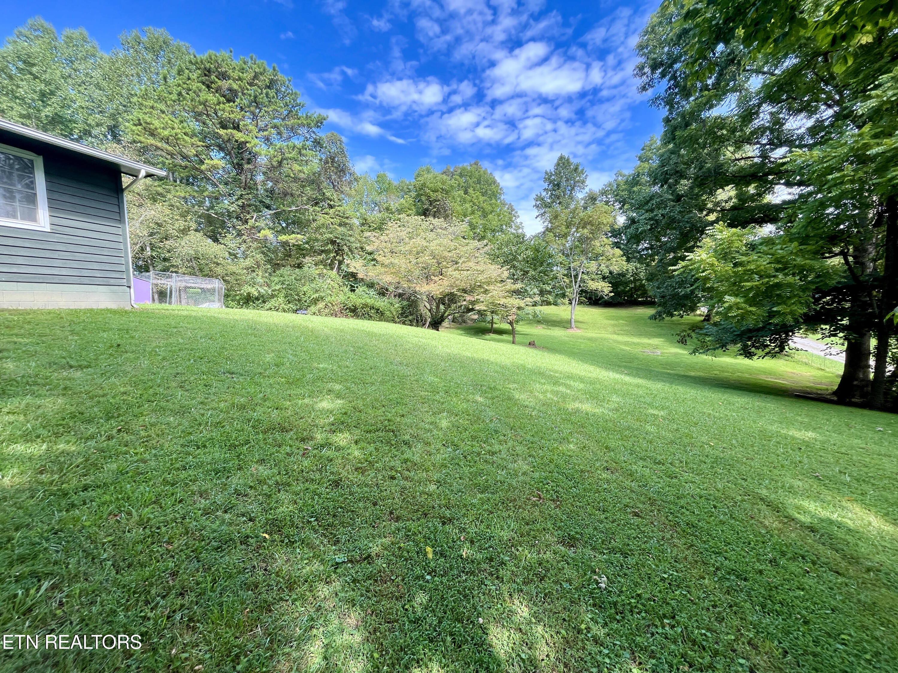 313 Mckinney Rd, LaFollette