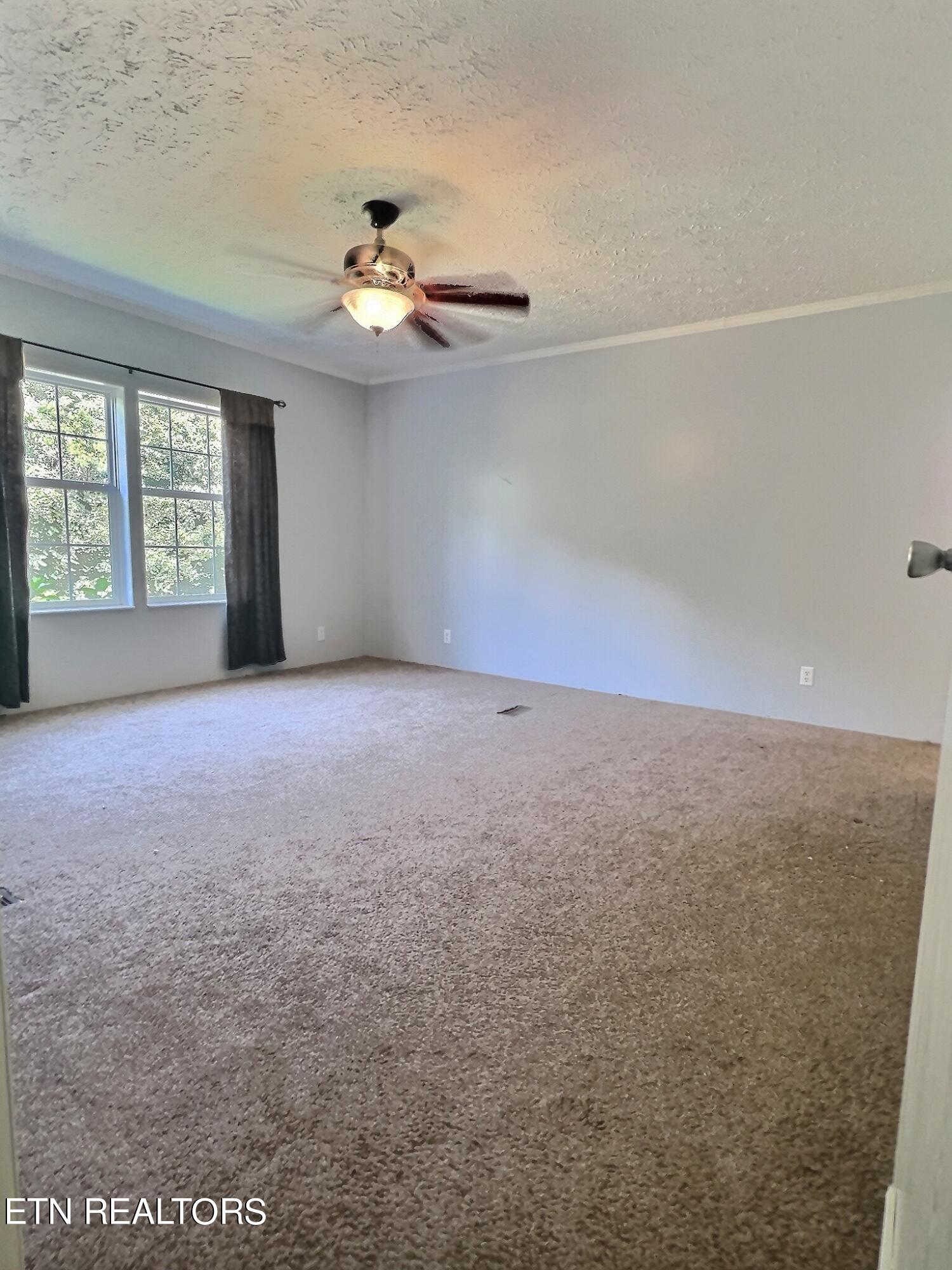 542 Young Rd, LaFollette