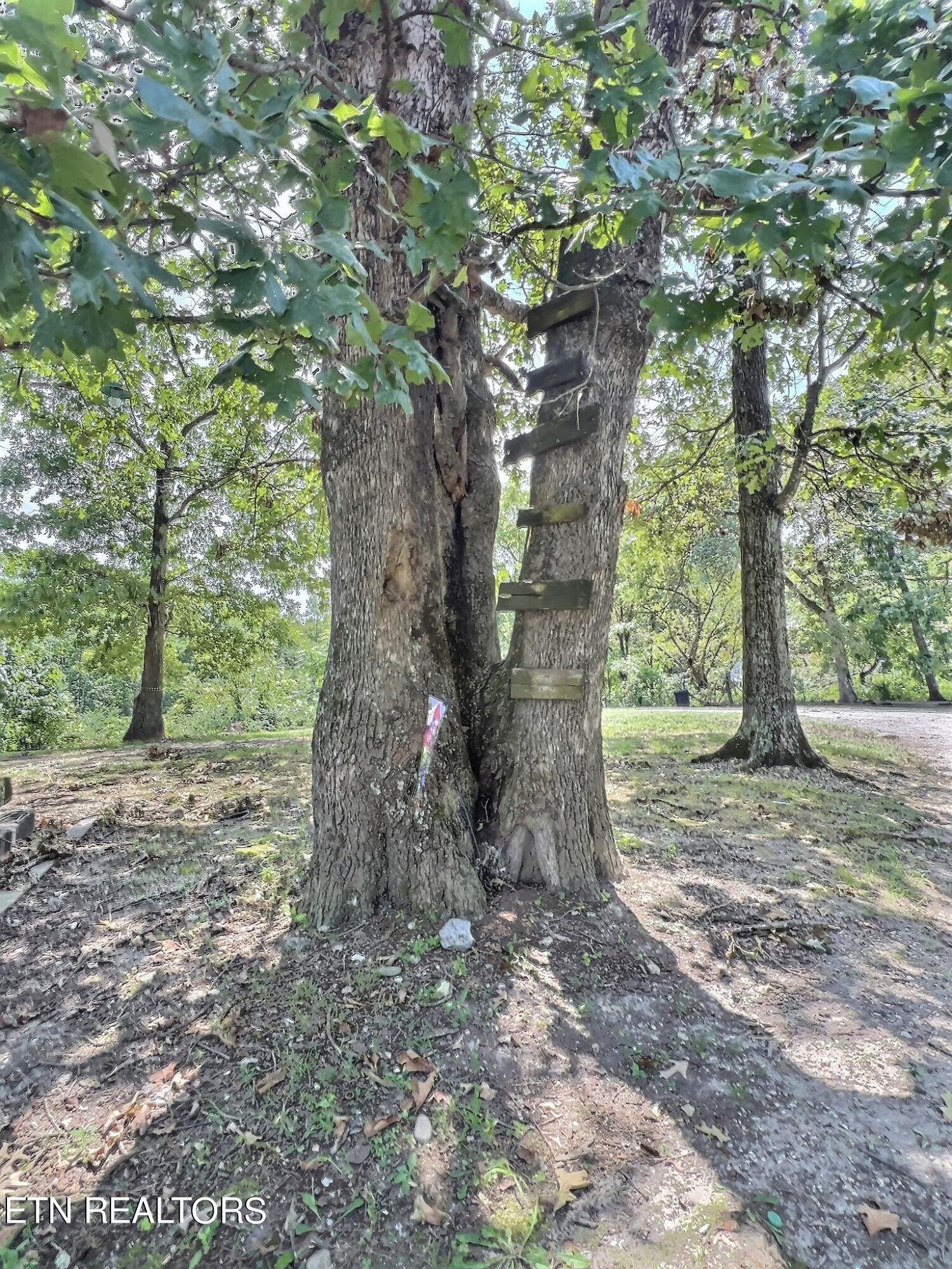 435 Davis Chapel Rd, LaFollette