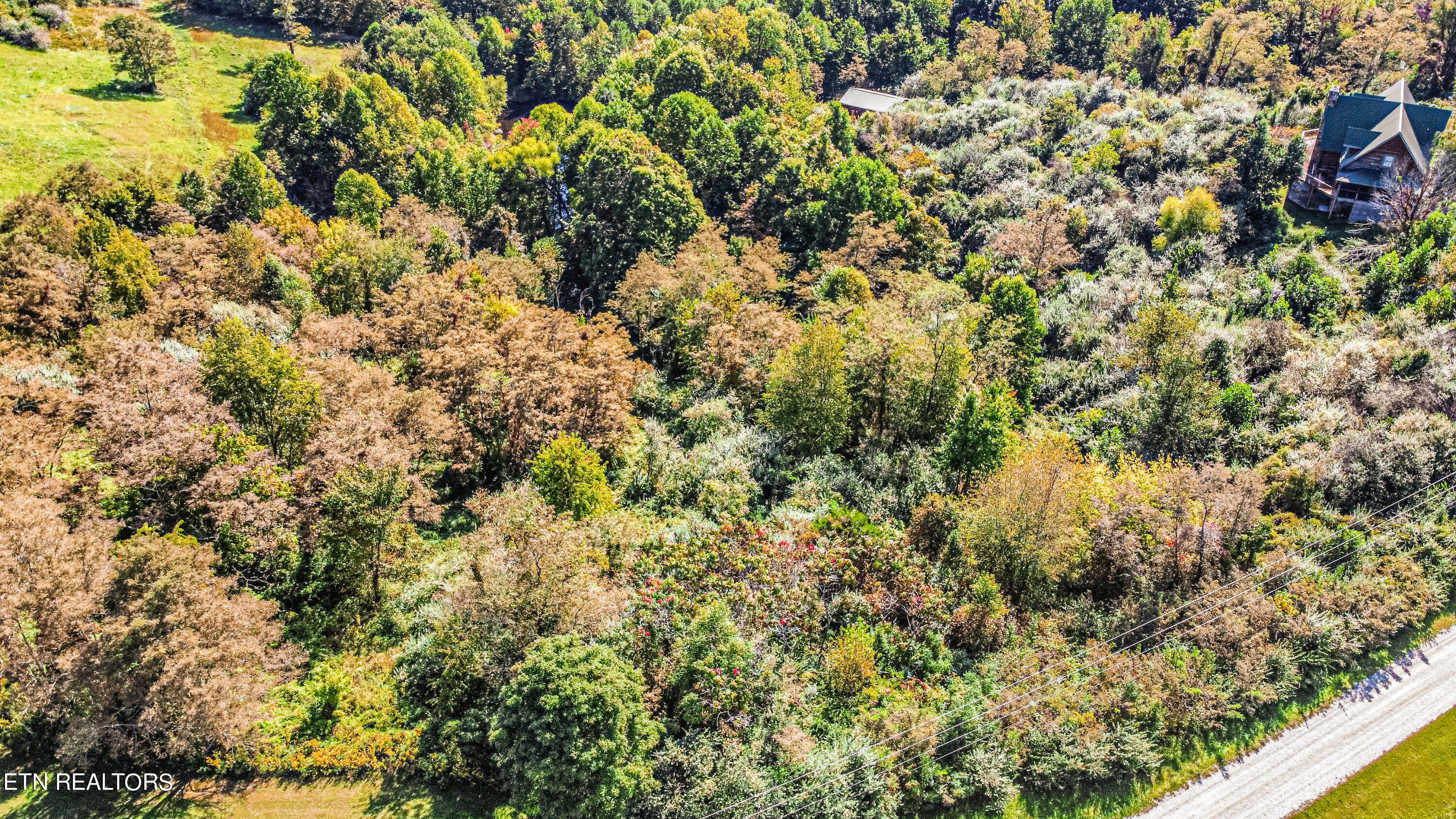 Lot 82 Grouse Lane