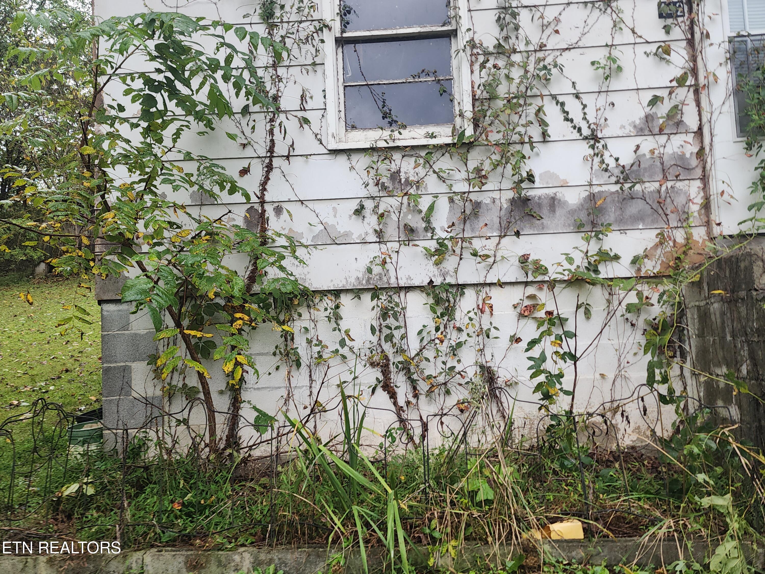 442 Parker Rd, LaFollette