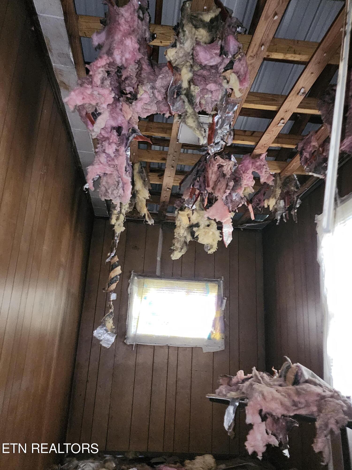 442 Parker Rd, LaFollette