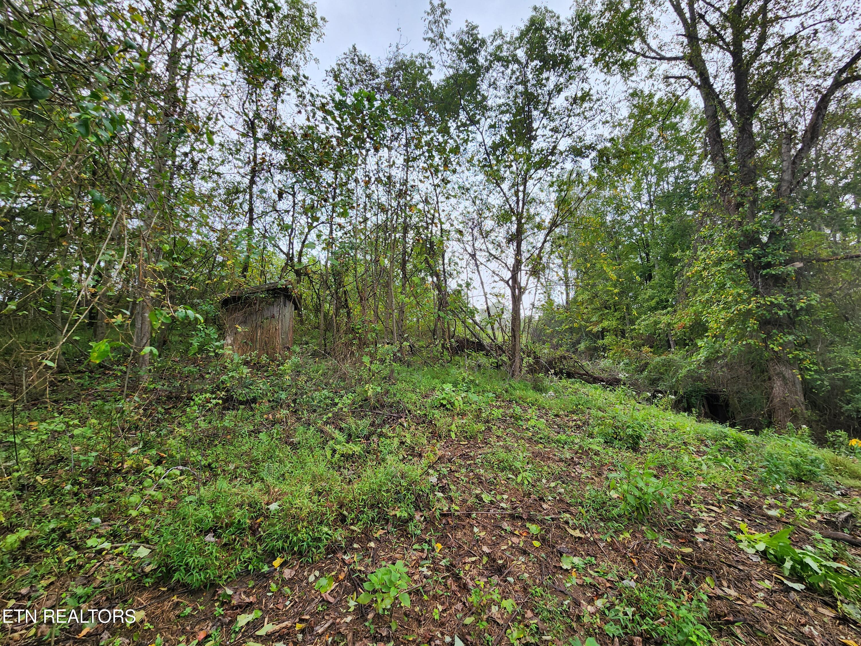 442 Parker Rd, LaFollette