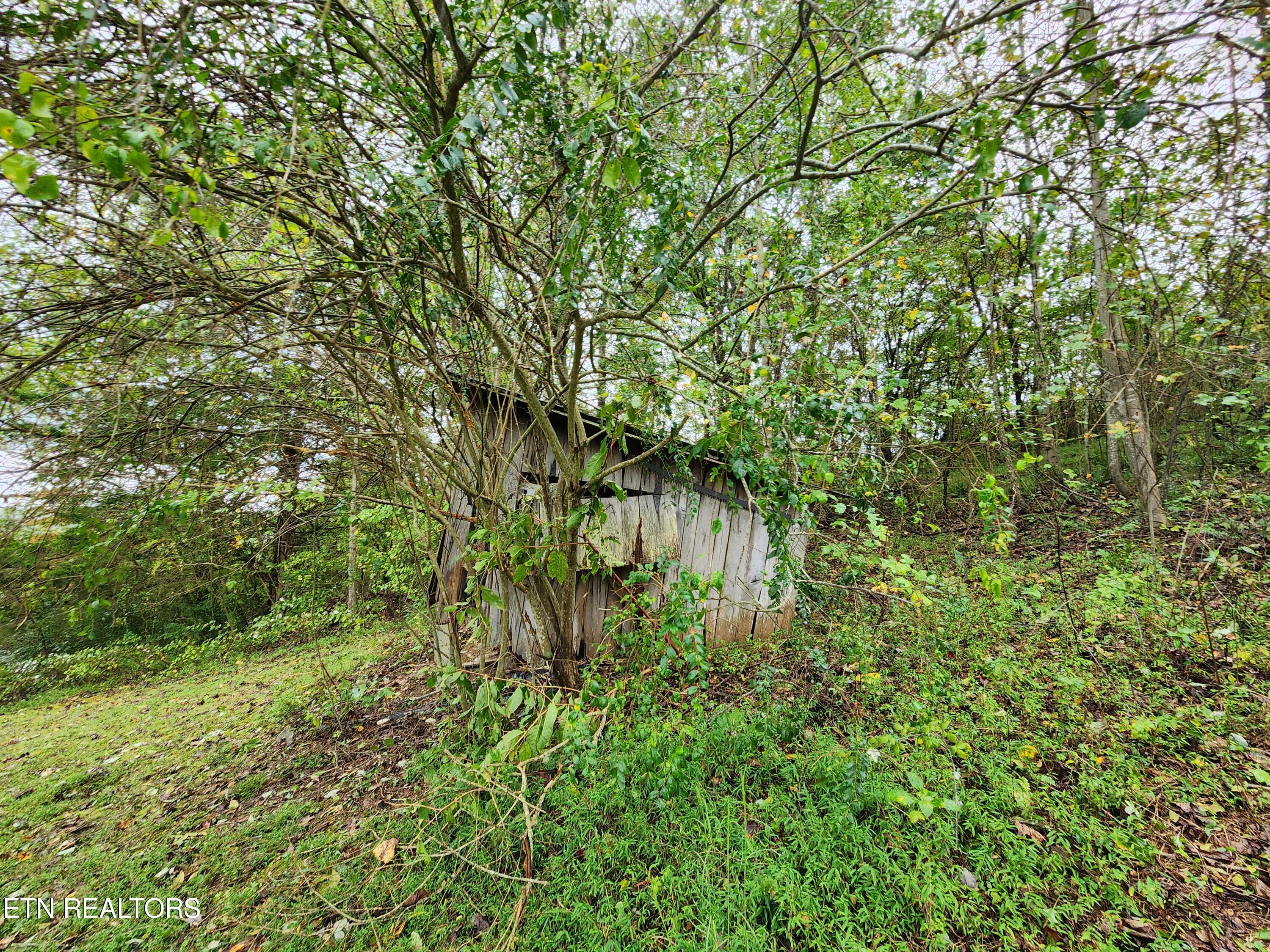 442 Parker Rd, LaFollette