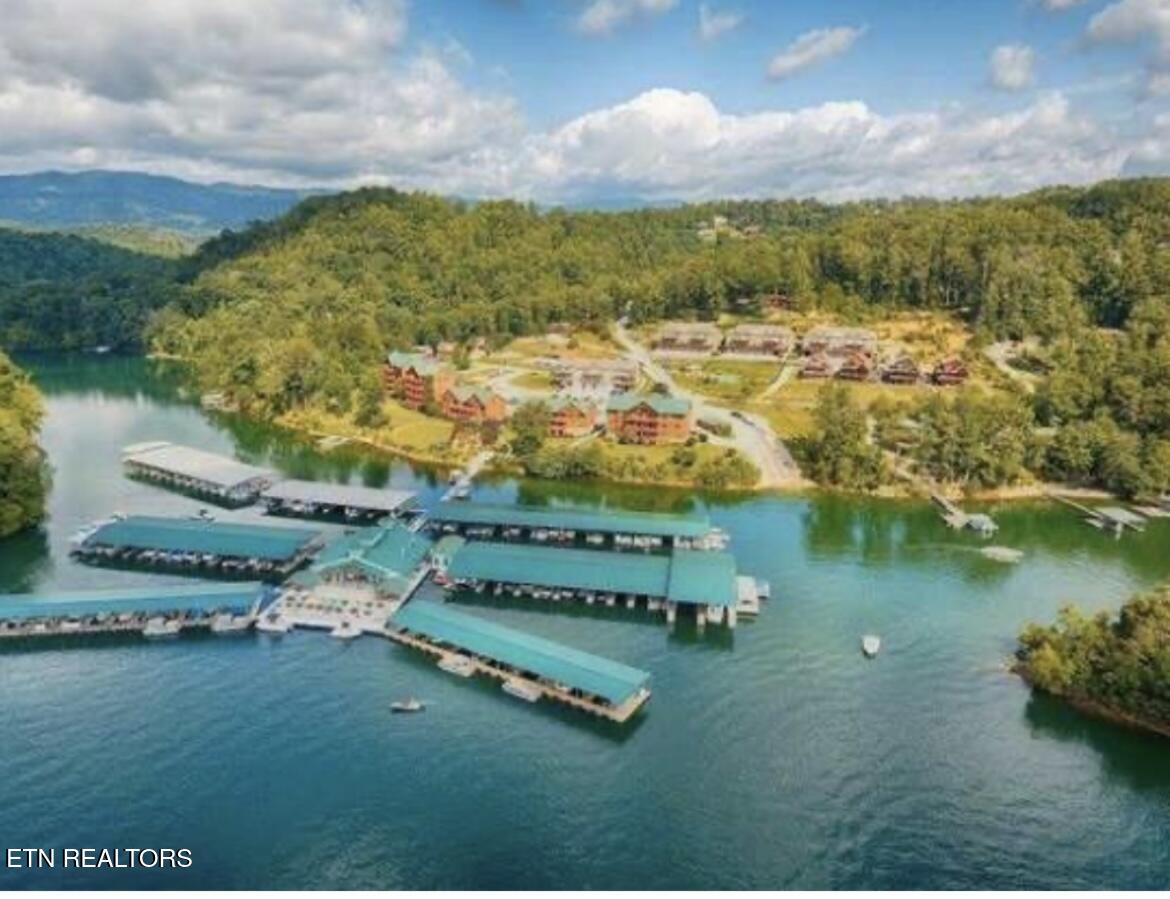 113 Evergreen Circle, 1