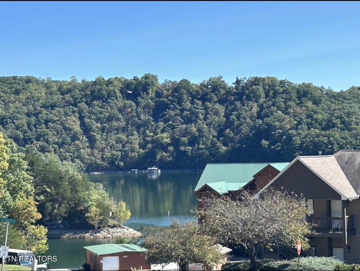 113 Evergreen Circle, 1