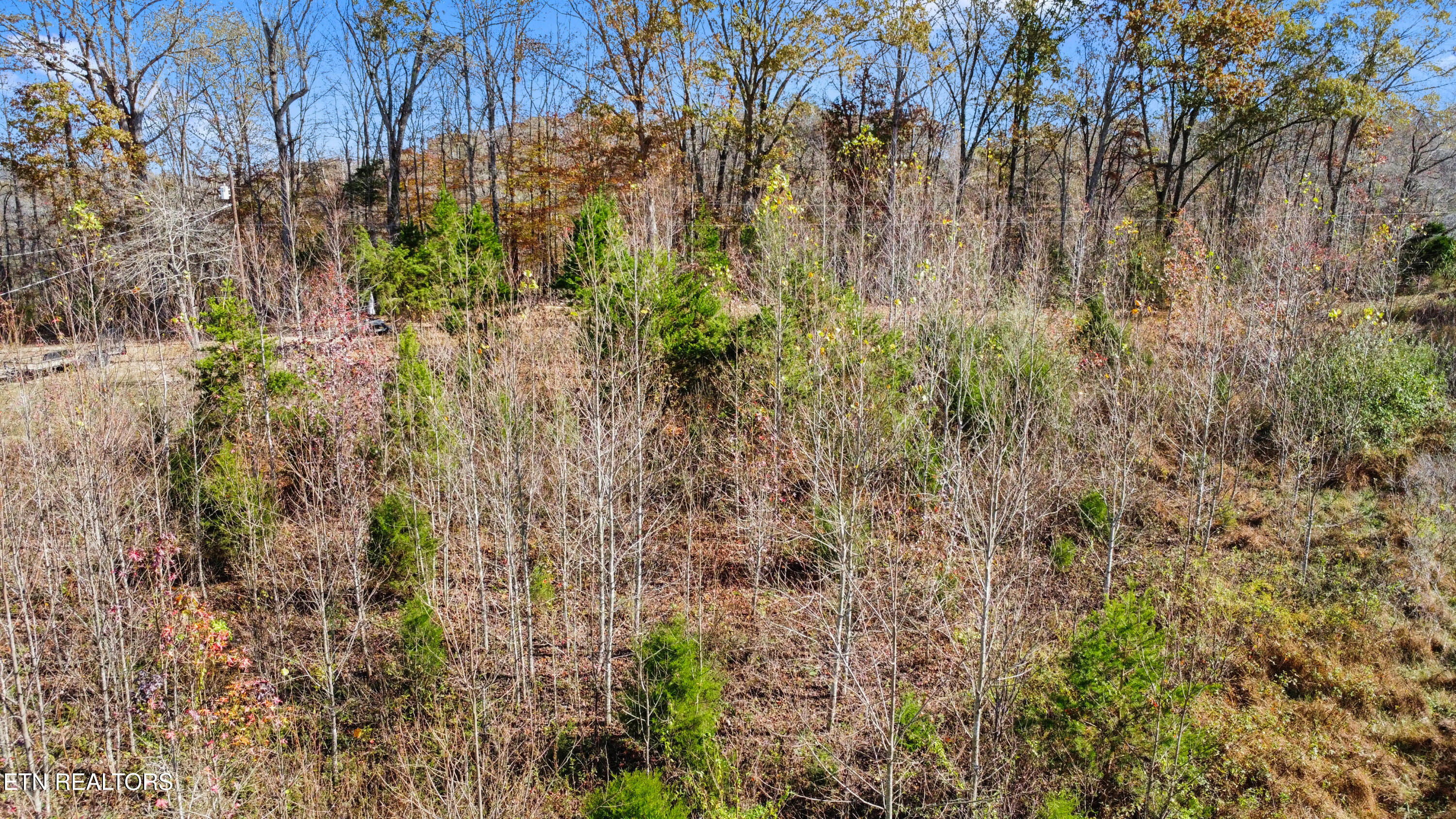 1273 Murrayville Rd, LaFollette