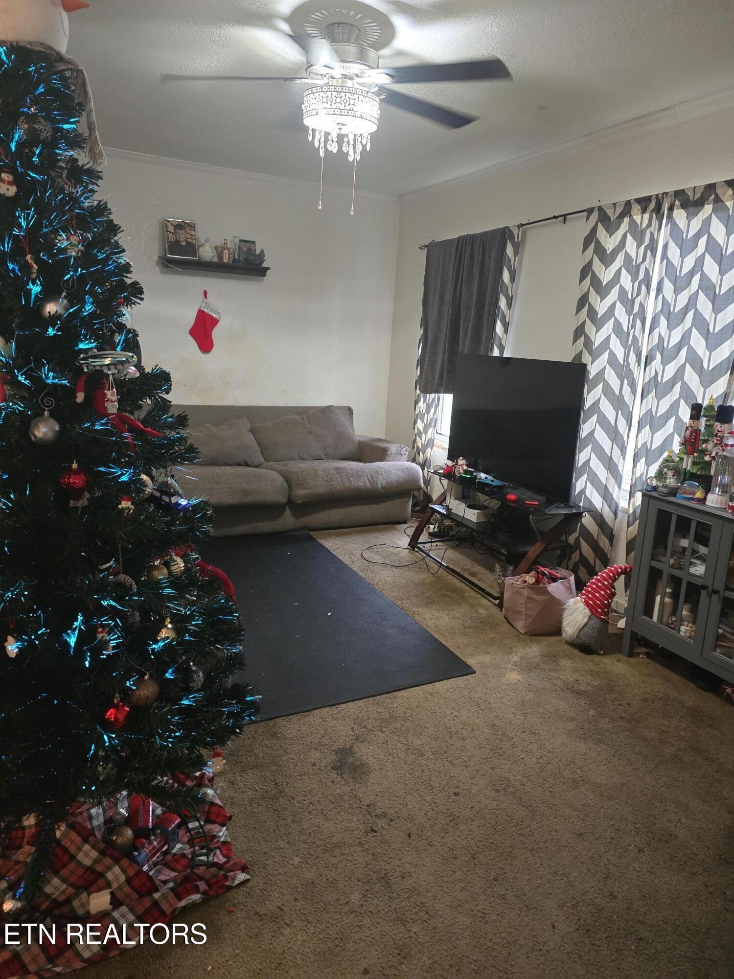 206 Sandy HIll Rd, LaFollette