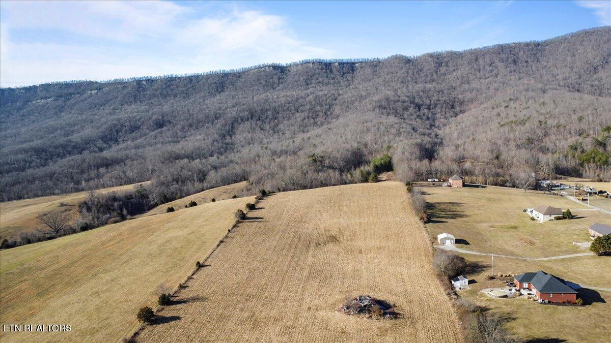 1203 Cross Valley Rd, LaFollette