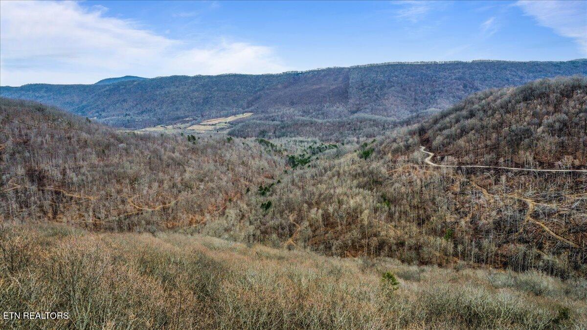 Wilderness Ridge Lane