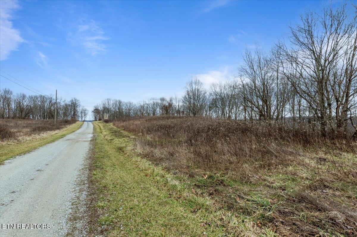 Wilderness Ridge Lane