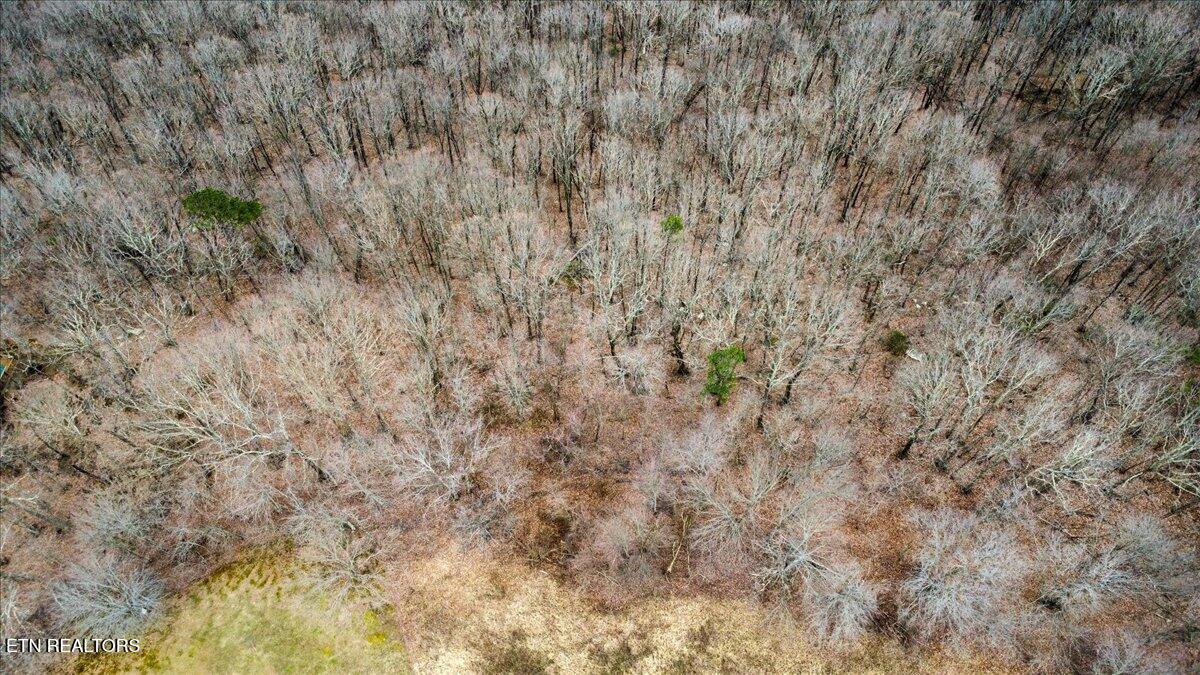 Wilderness Ridge Lane