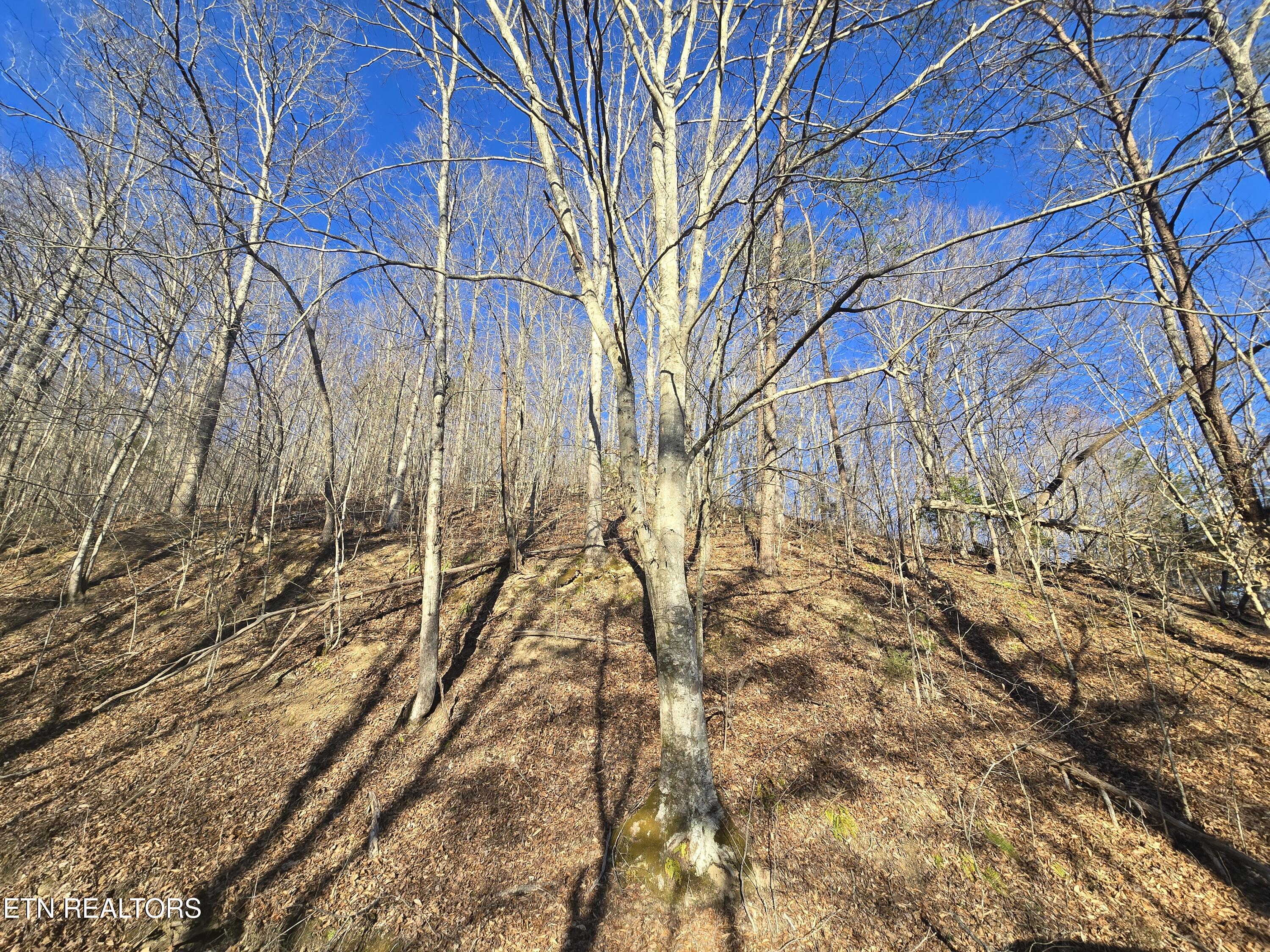 206 Lick Creek Lane, LaFollette