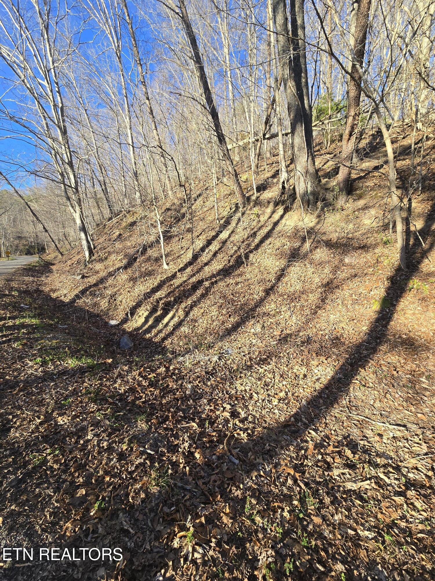 206 Lick Creek Lane, LaFollette