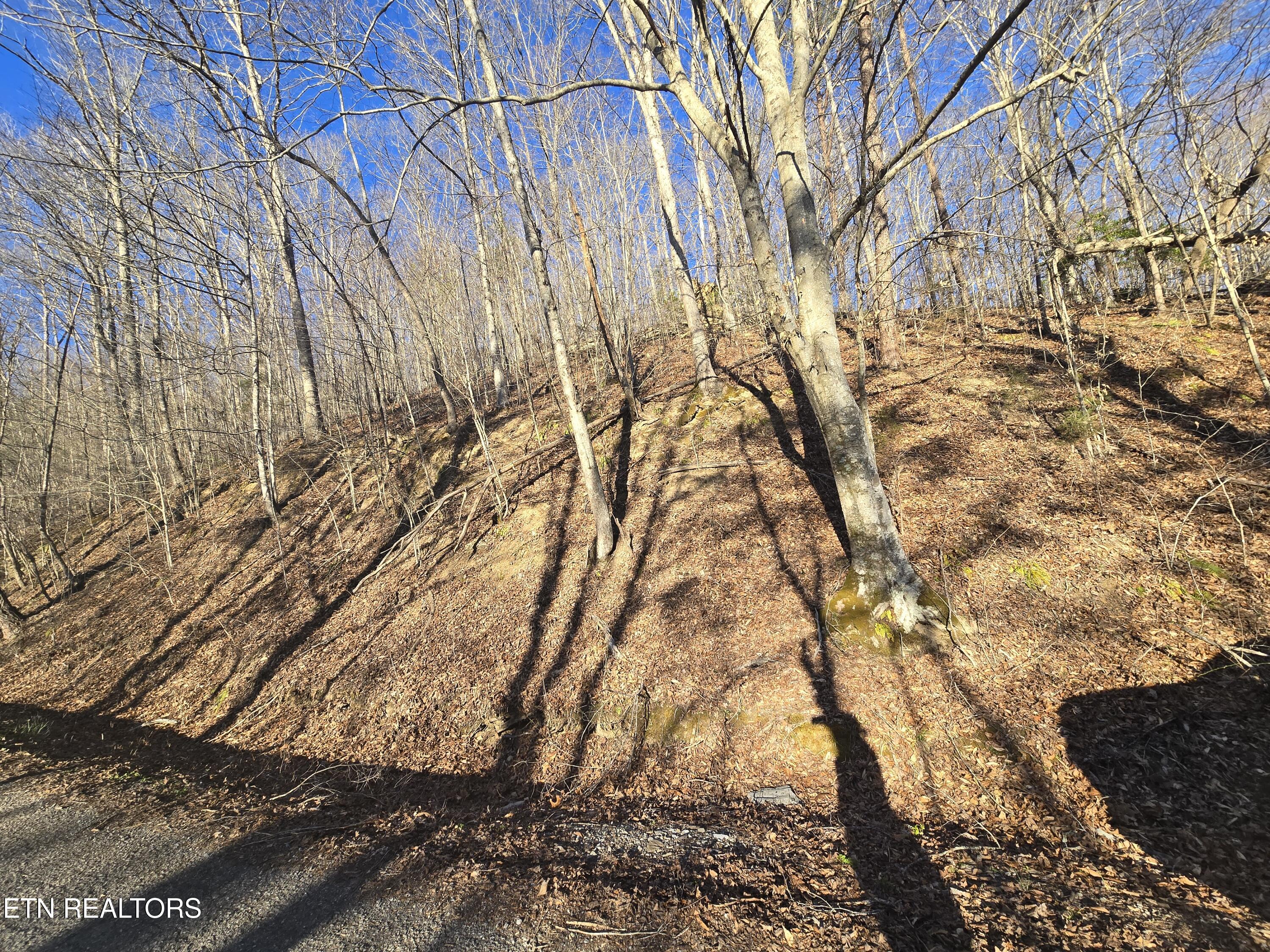 206 Lick Creek Lane, LaFollette