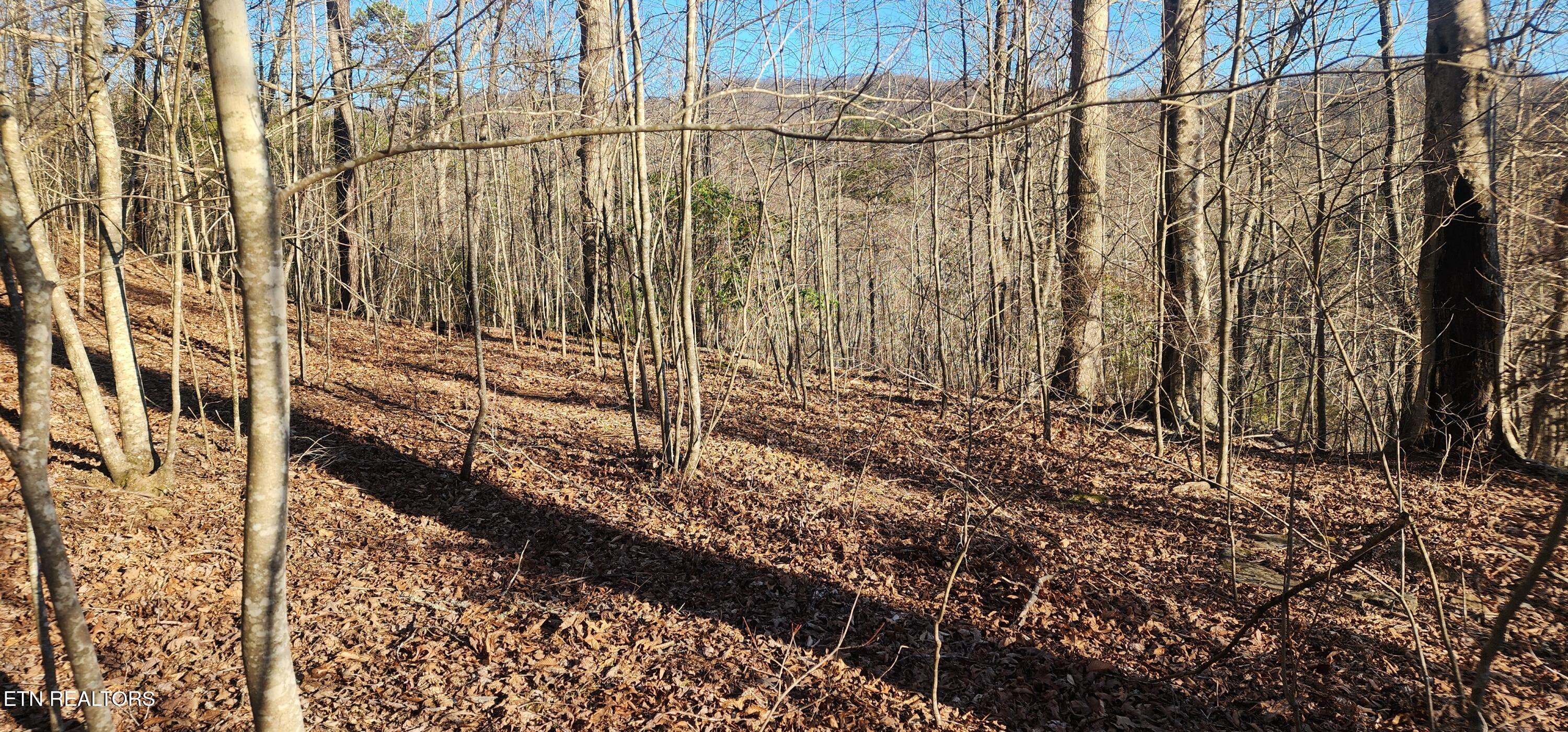 206 Lick Creek Lane, LaFollette