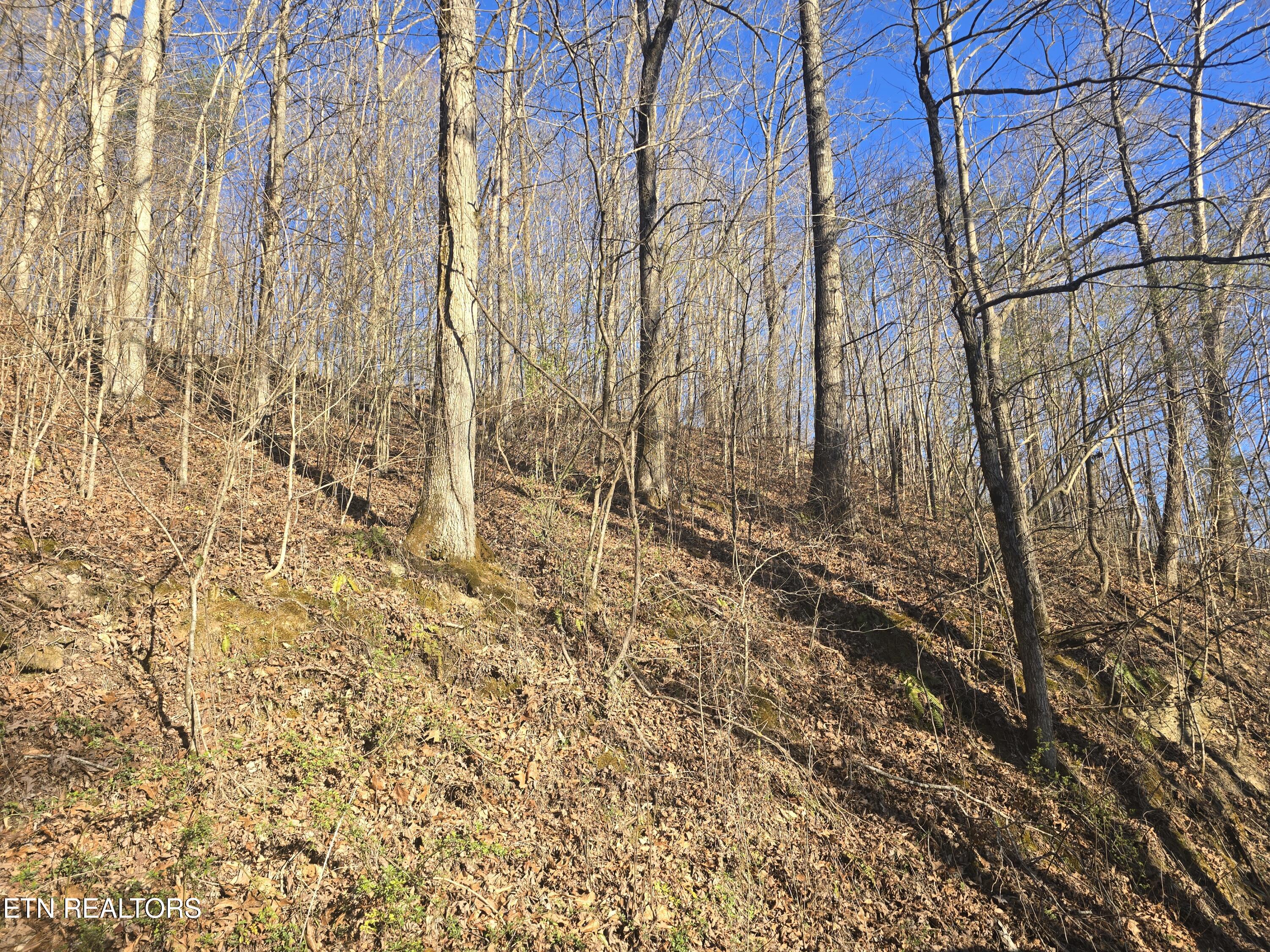 206 Lick Creek Lane, LaFollette