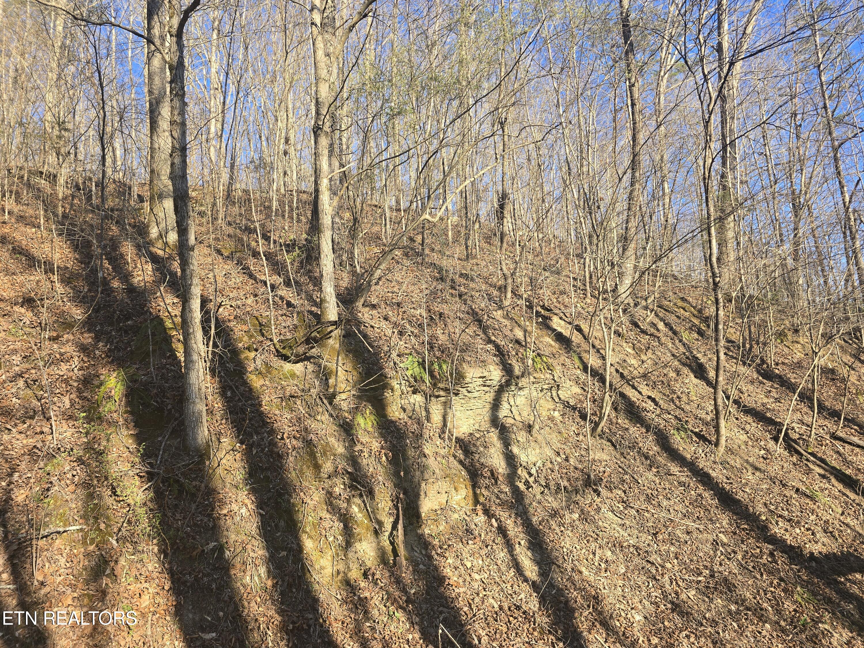 206 Lick Creek Lane, LaFollette