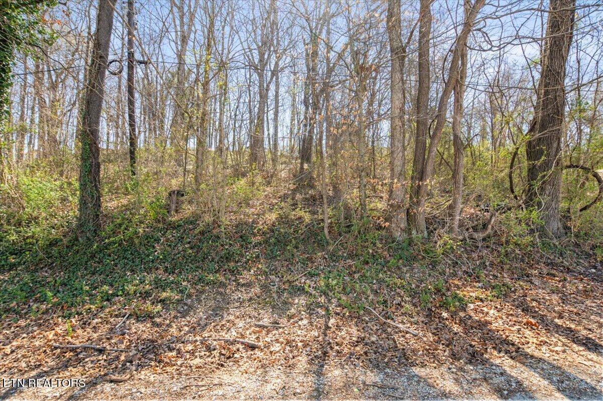 313 W Chestnut St, LaFollette