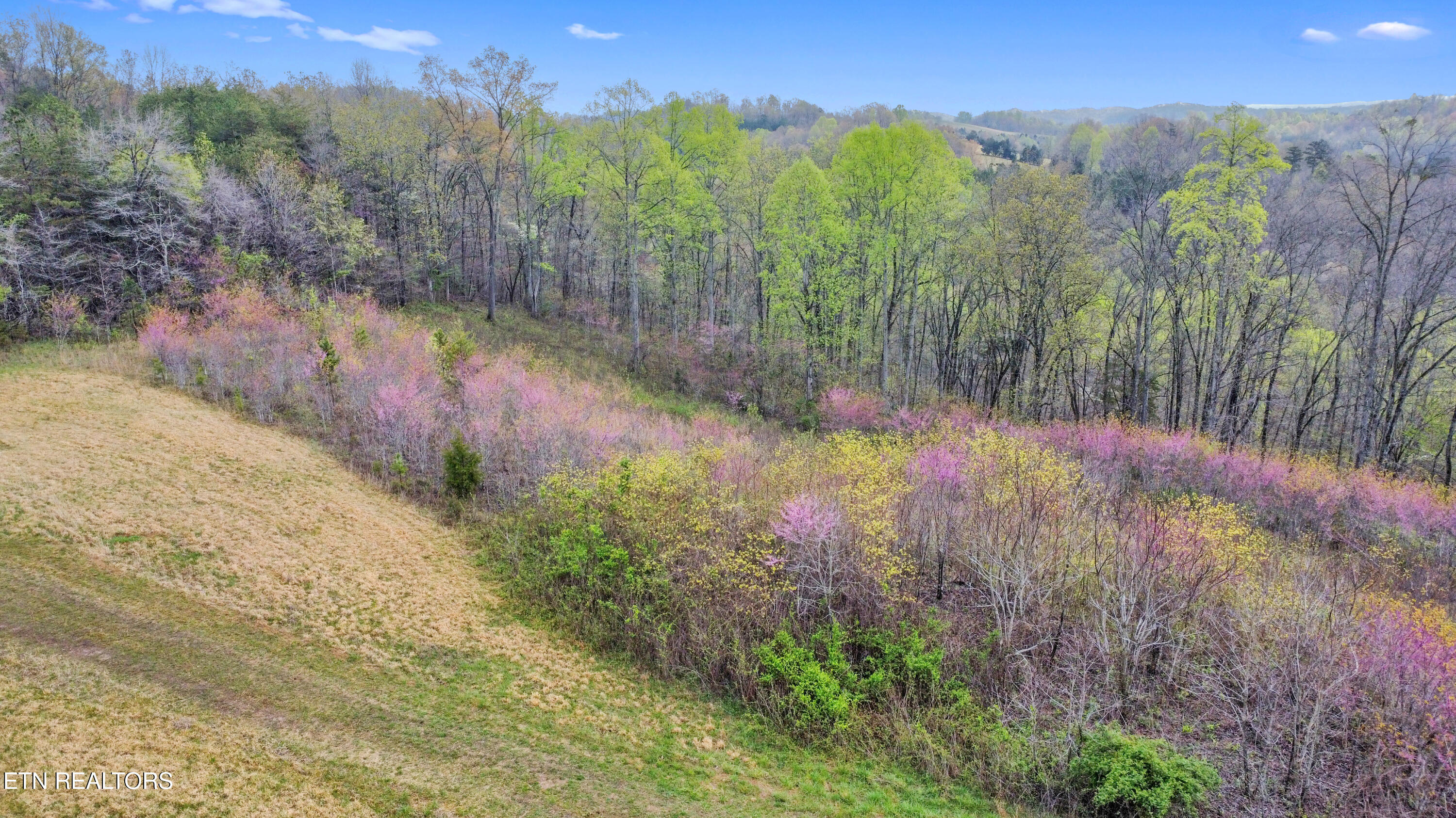 Lot 54 Pinnacle Lane, LaFollette