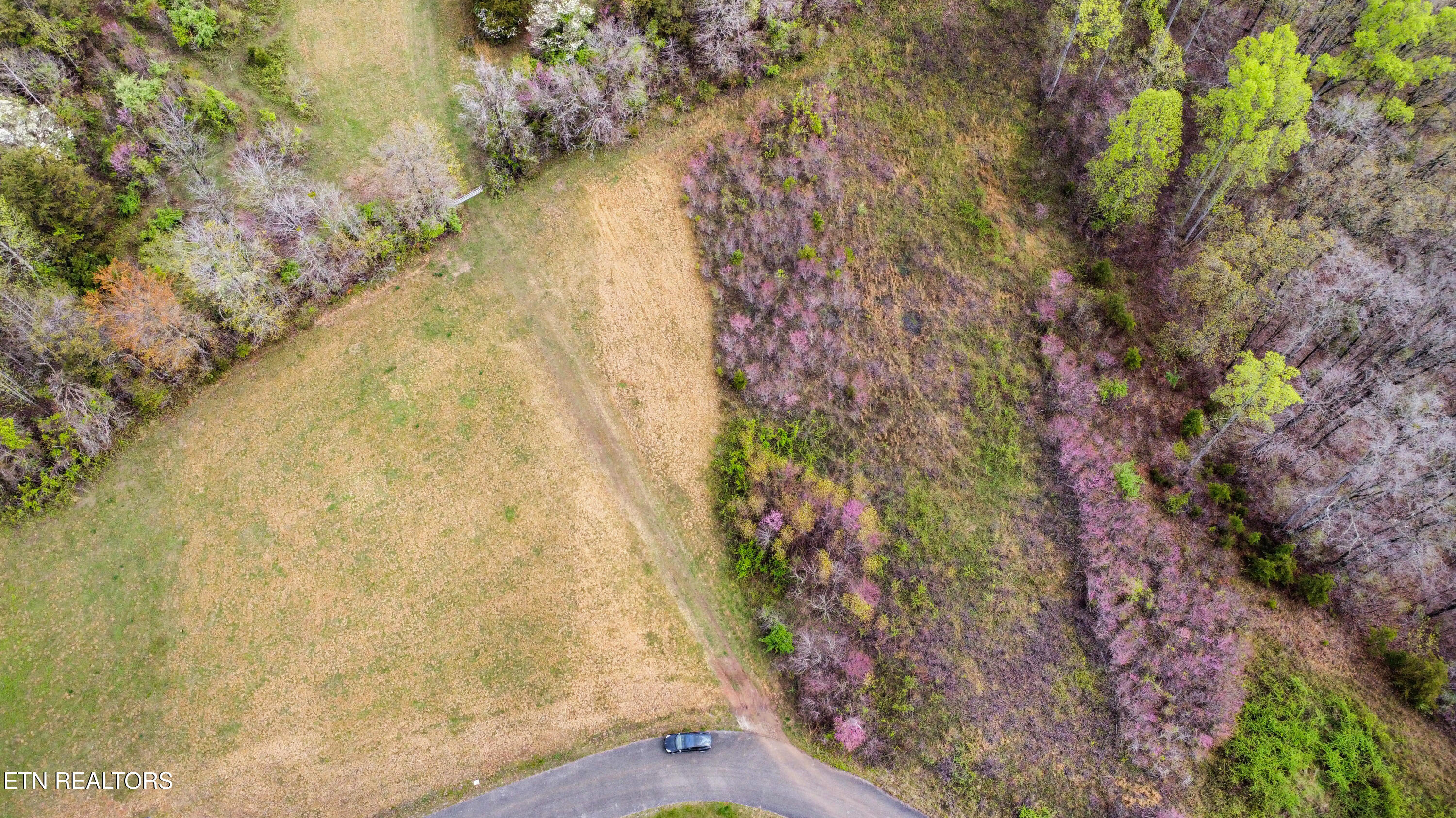 Lot 54 Pinnacle Lane, LaFollette