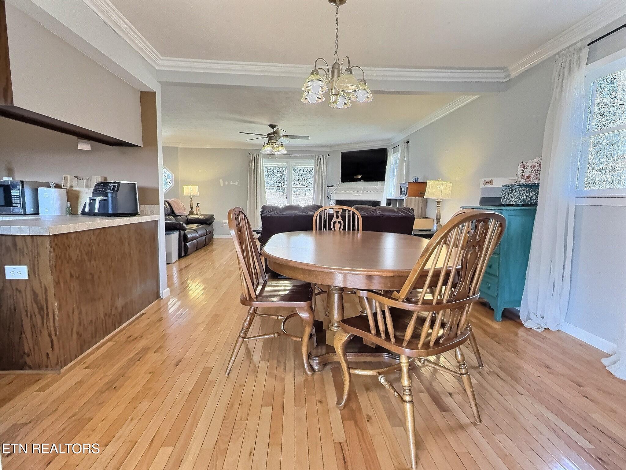 113 Summit Drive, LaFollette