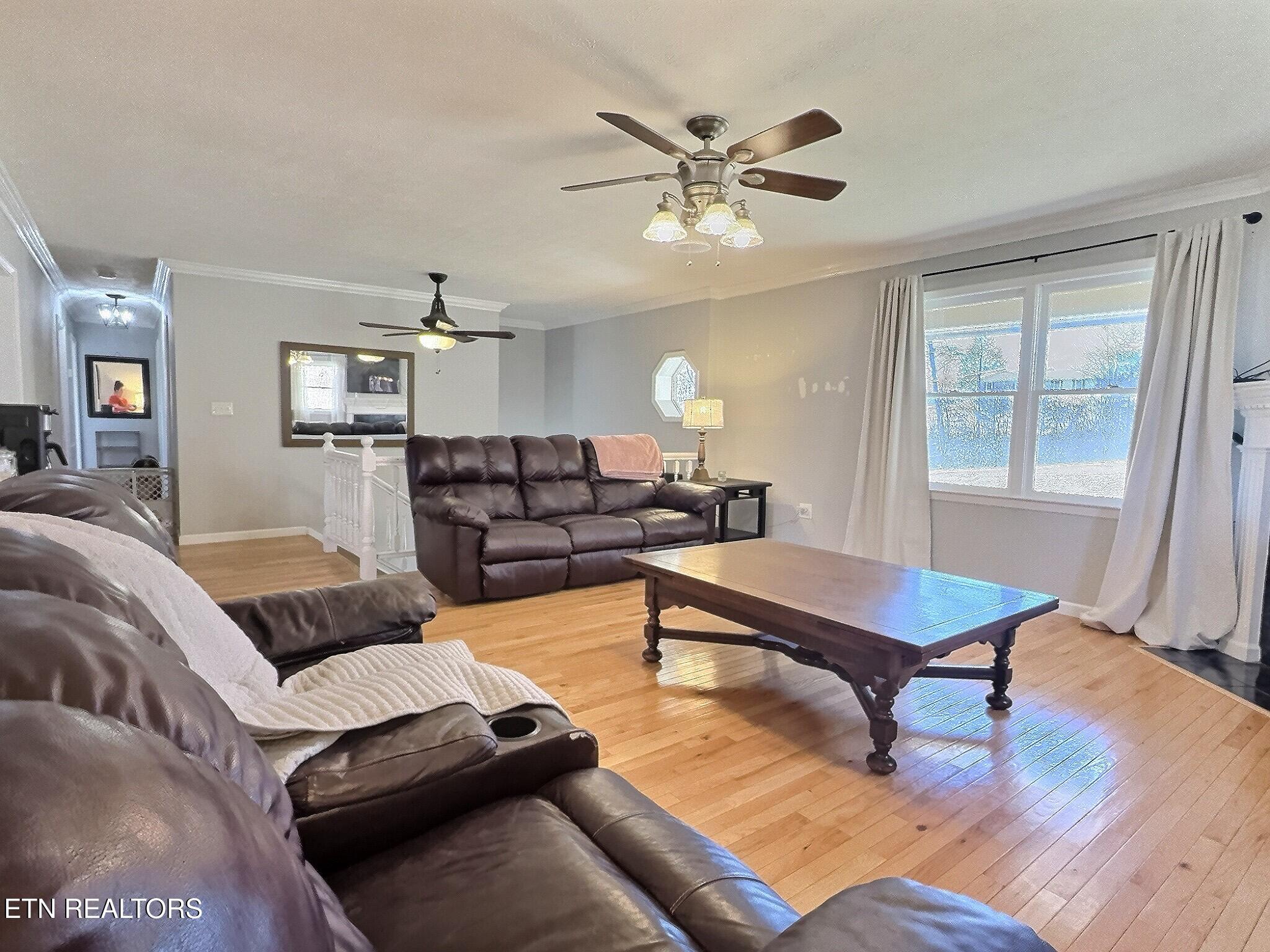 113 Summit Drive, LaFollette