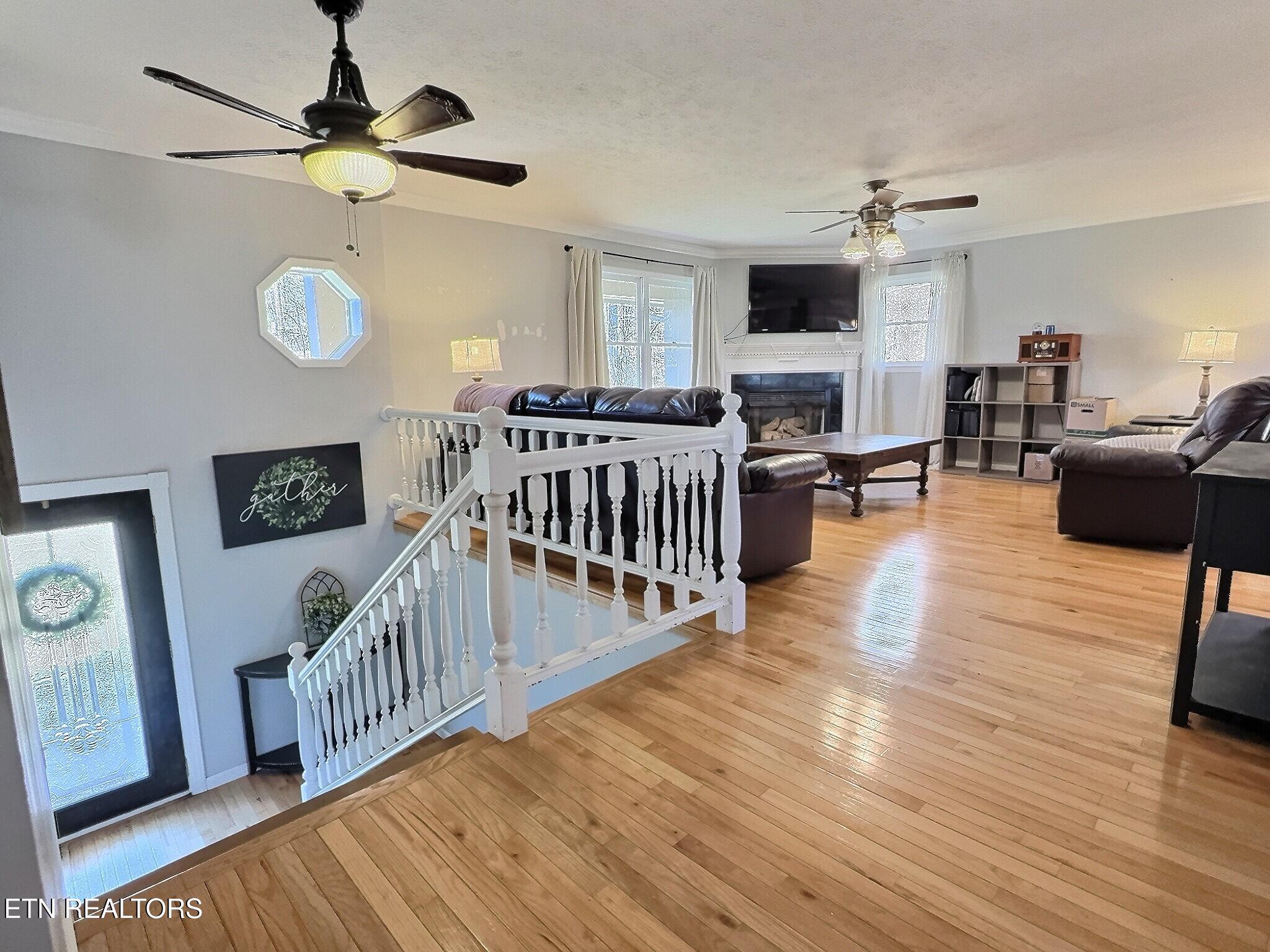 113 Summit Drive, LaFollette