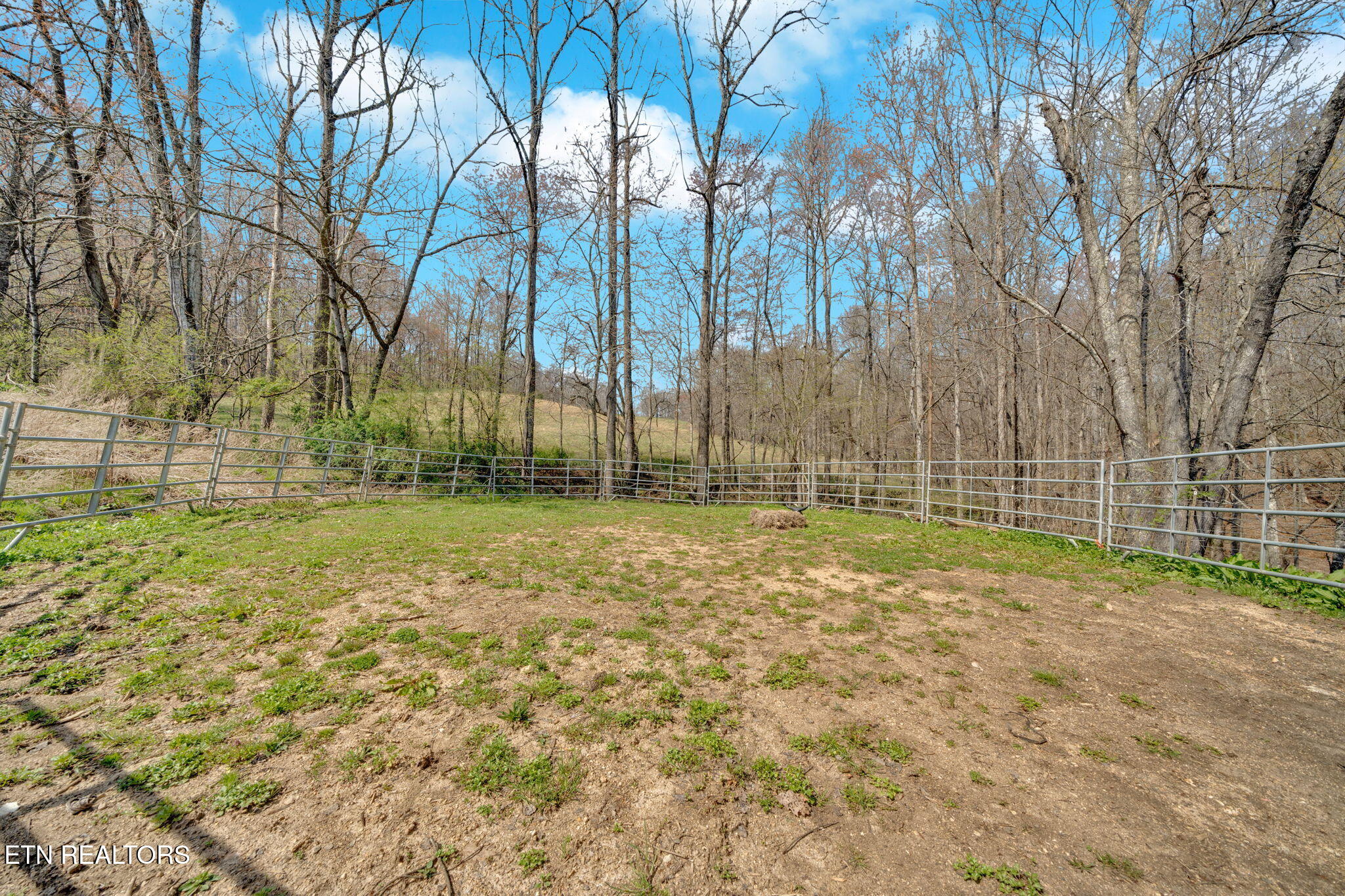 299 Tar Town Hollow Lane, LaFollette