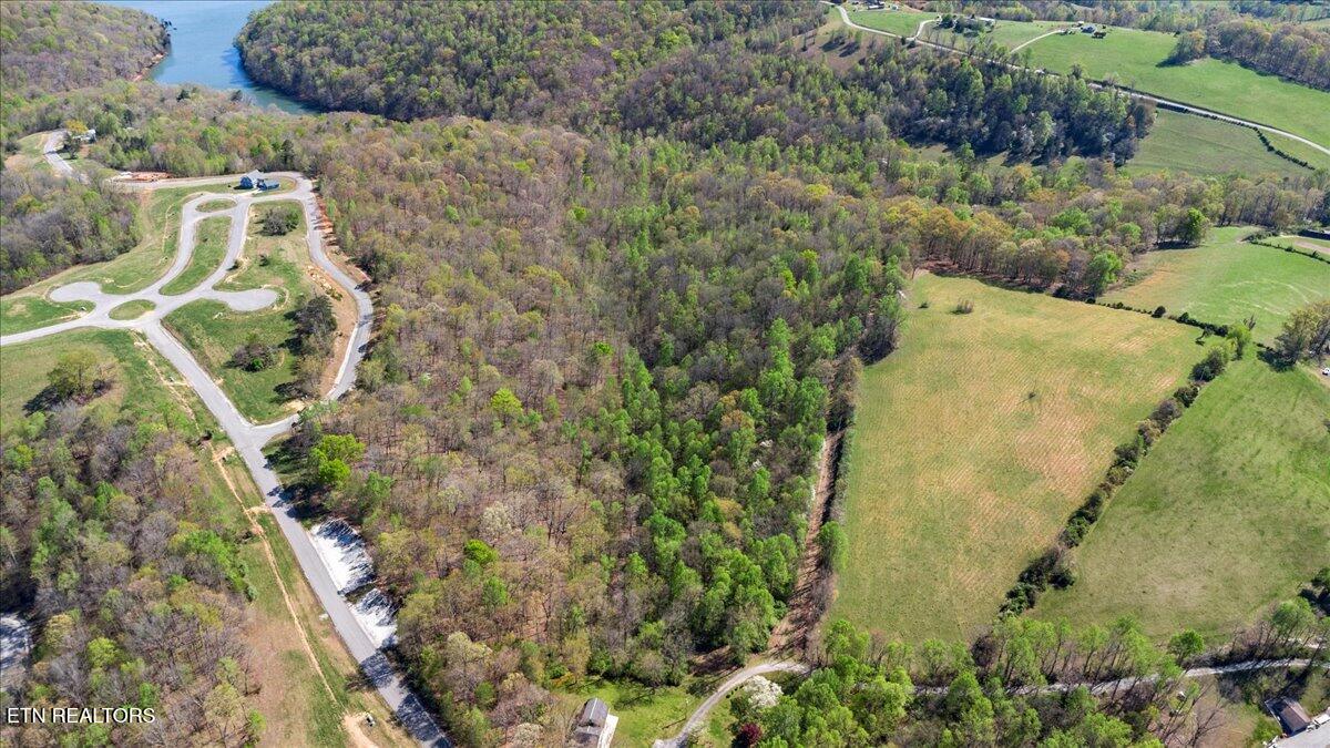 Old Glory Lane, LaFollette