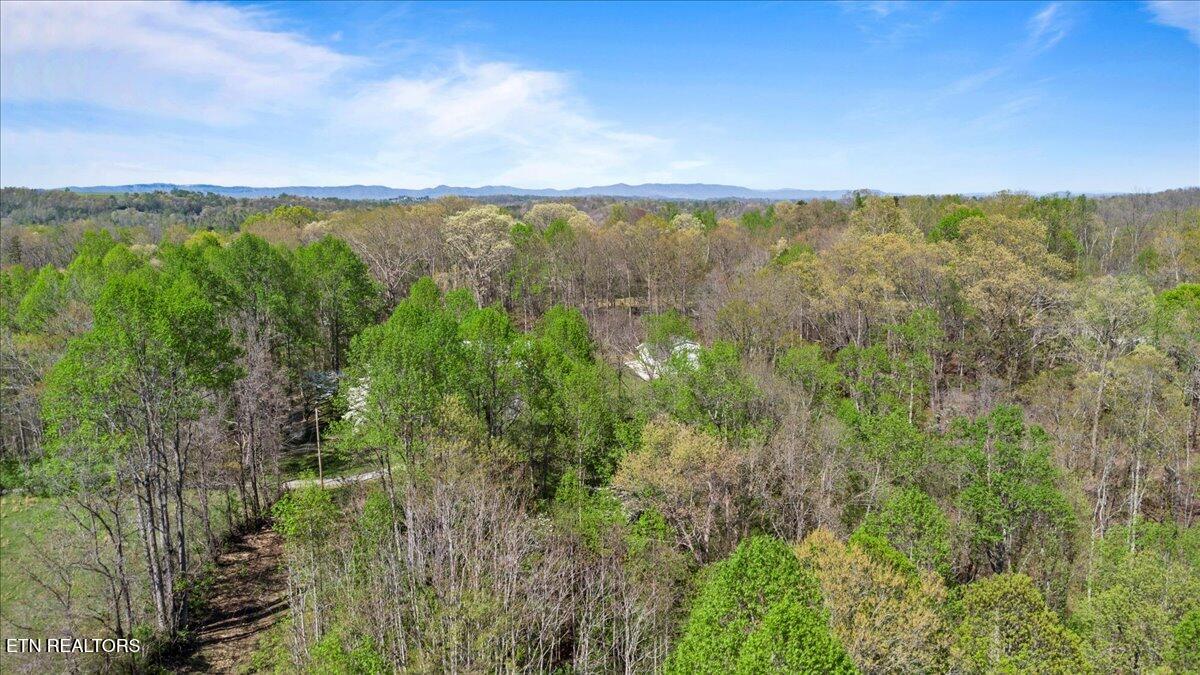 Old Glory Lane, LaFollette