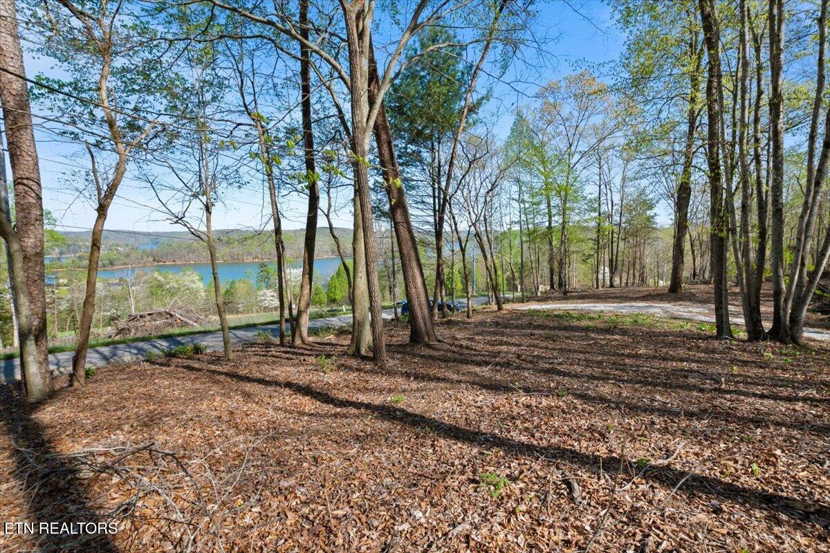 Lot 13 Demory Rd, LaFollette