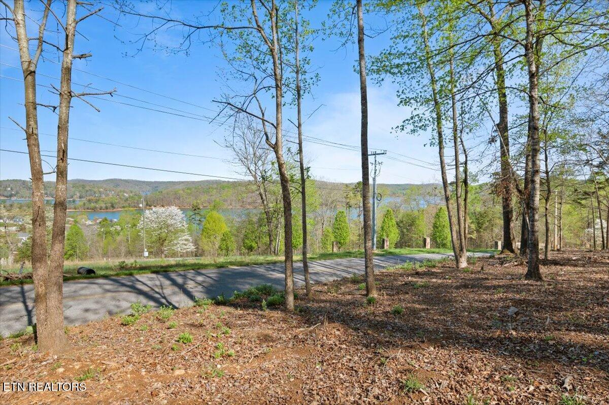 Lot 16 Demory Rd, LaFollette