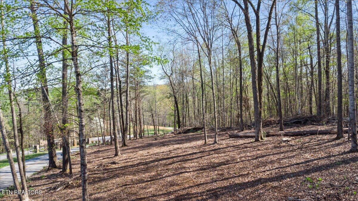 Lot 16 Demory Rd, LaFollette