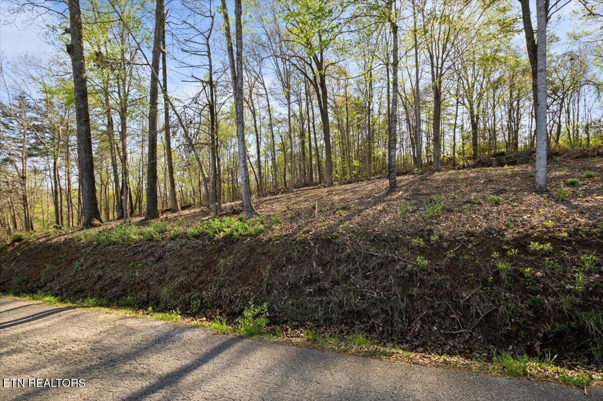 Lot 15 Demory Rd, LaFollette