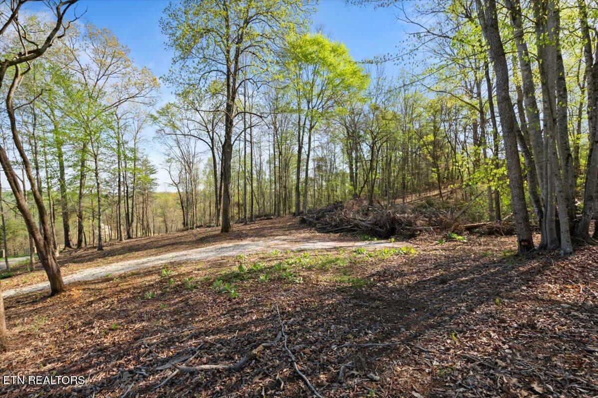 Lot 15 Demory Rd, LaFollette