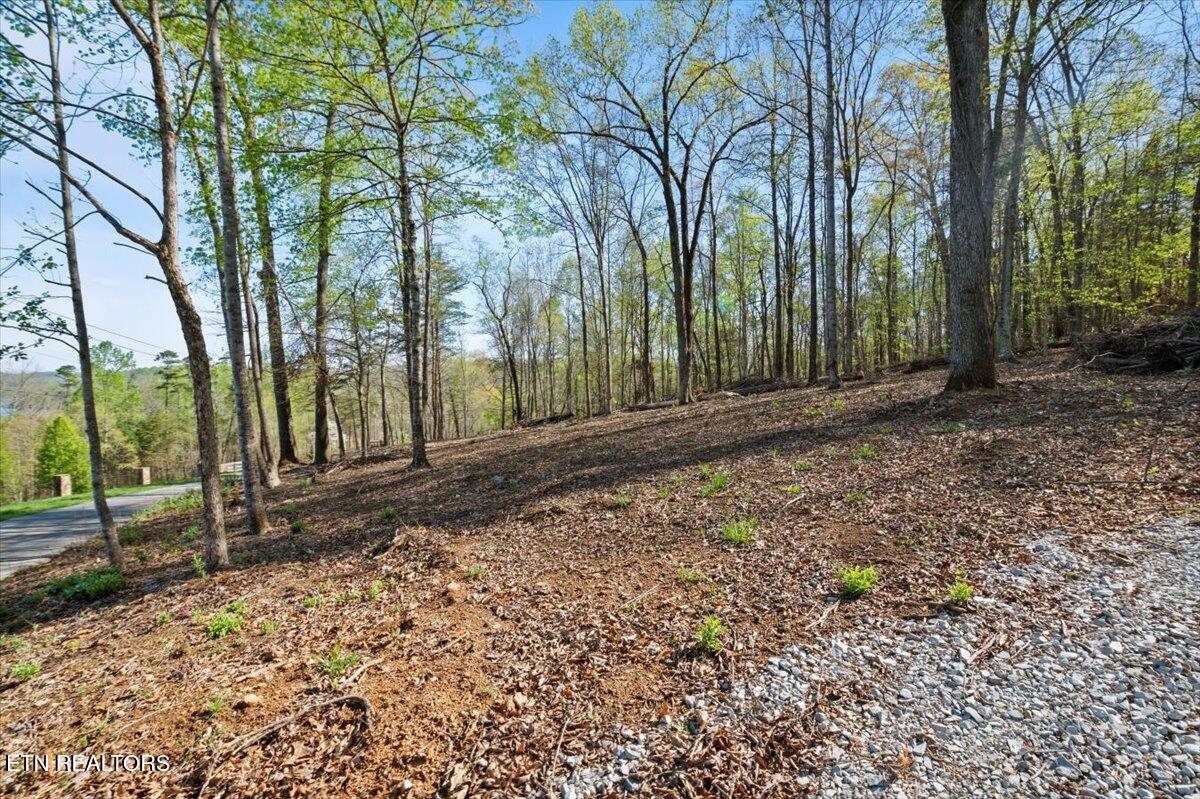 Lot 15 Demory Rd, LaFollette