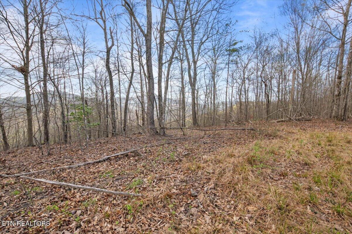 Arial Lane, LaFollette