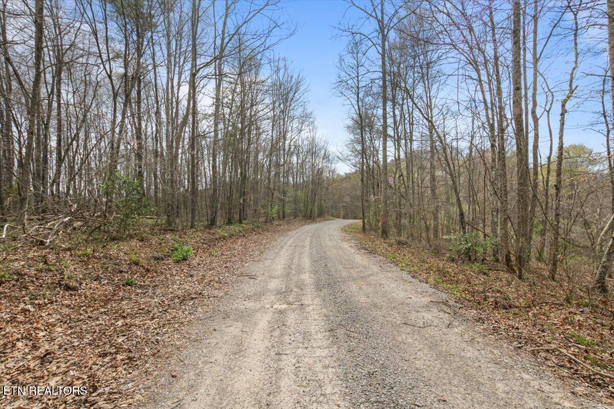 Arial Lane, LaFollette